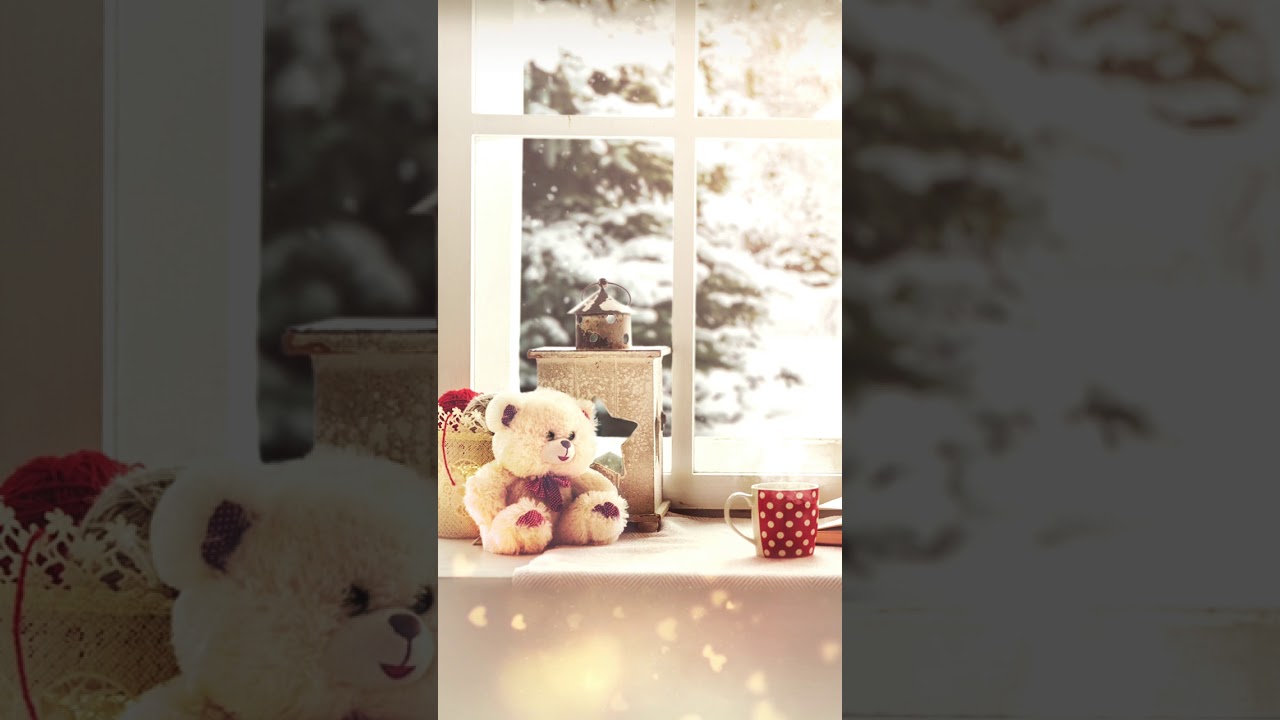 Teddy Bear - HD Wallpaper 