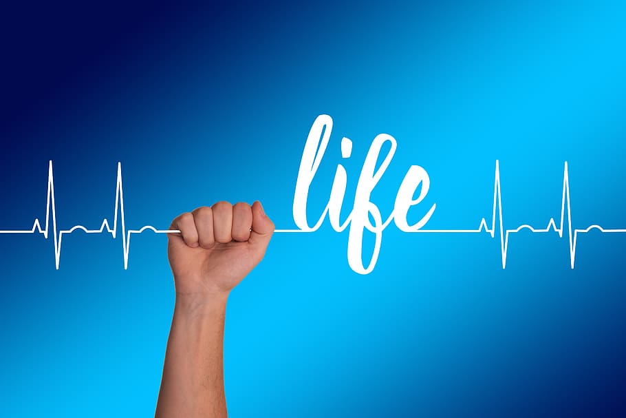 Heart, Curve, Live, Thread, Seidener Thread, Health, - Health Life - HD Wallpaper 