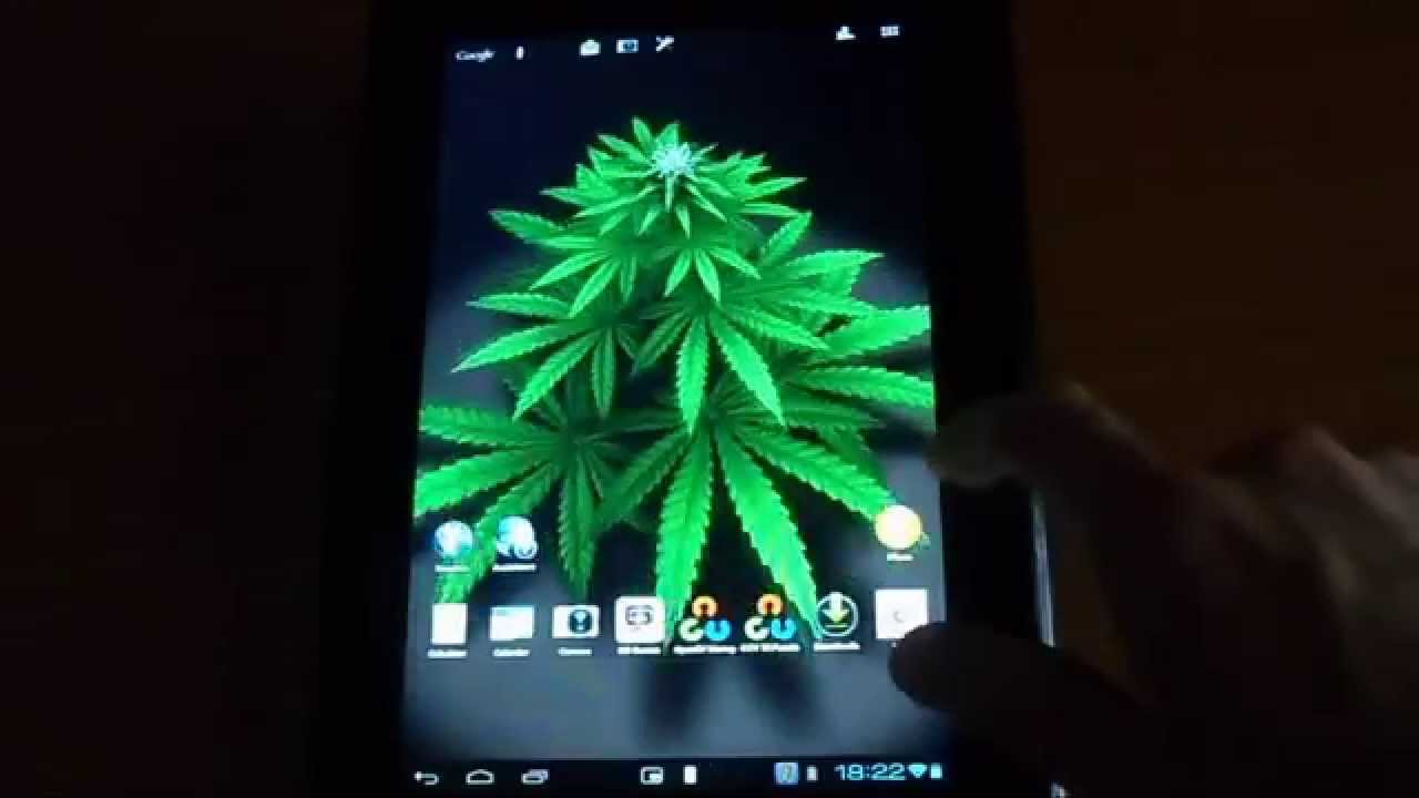 Live Wallpaper Mage Money Plant - HD Wallpaper 