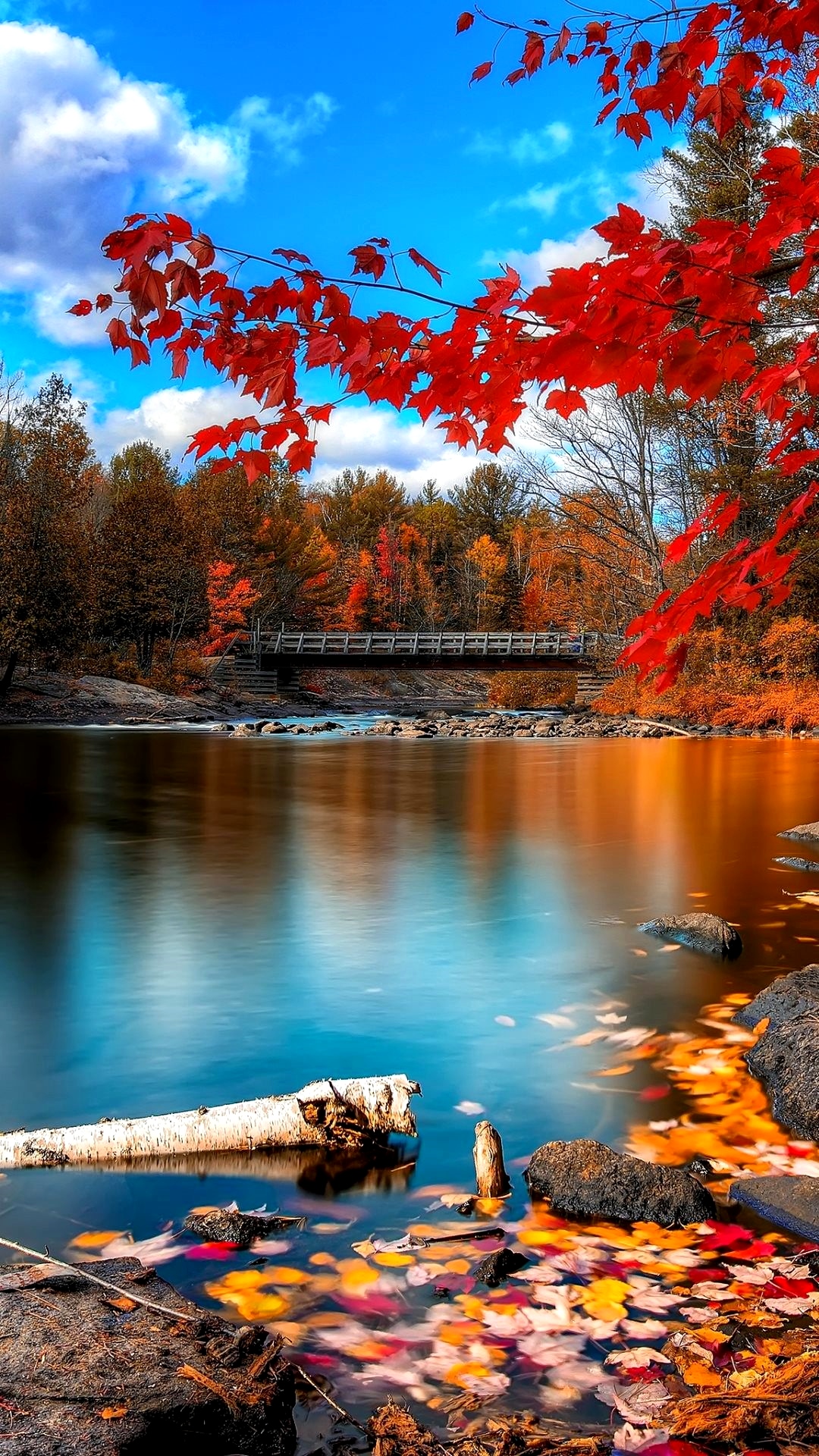 4k Phone Wallpapers Top Free 4k Phone Backgrounds Wallpaper - 1080x1920 Wallpaper 4k Phone Wallpapers Top Free 4k Phone Backgrounds Wallpaper - 1080x1920 Wallpaper