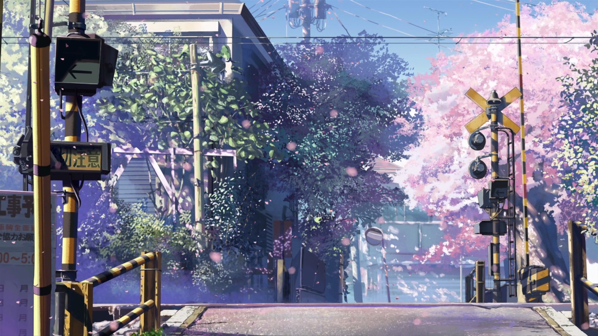 5 Centimeters Per Second - HD Wallpaper 