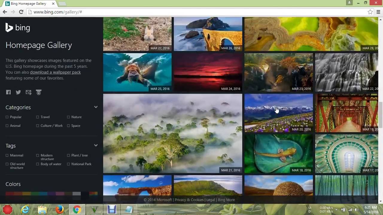 Bing Gallery - 1280x720 Wallpaper Bing Gallery - 1280x720 Wallpaper