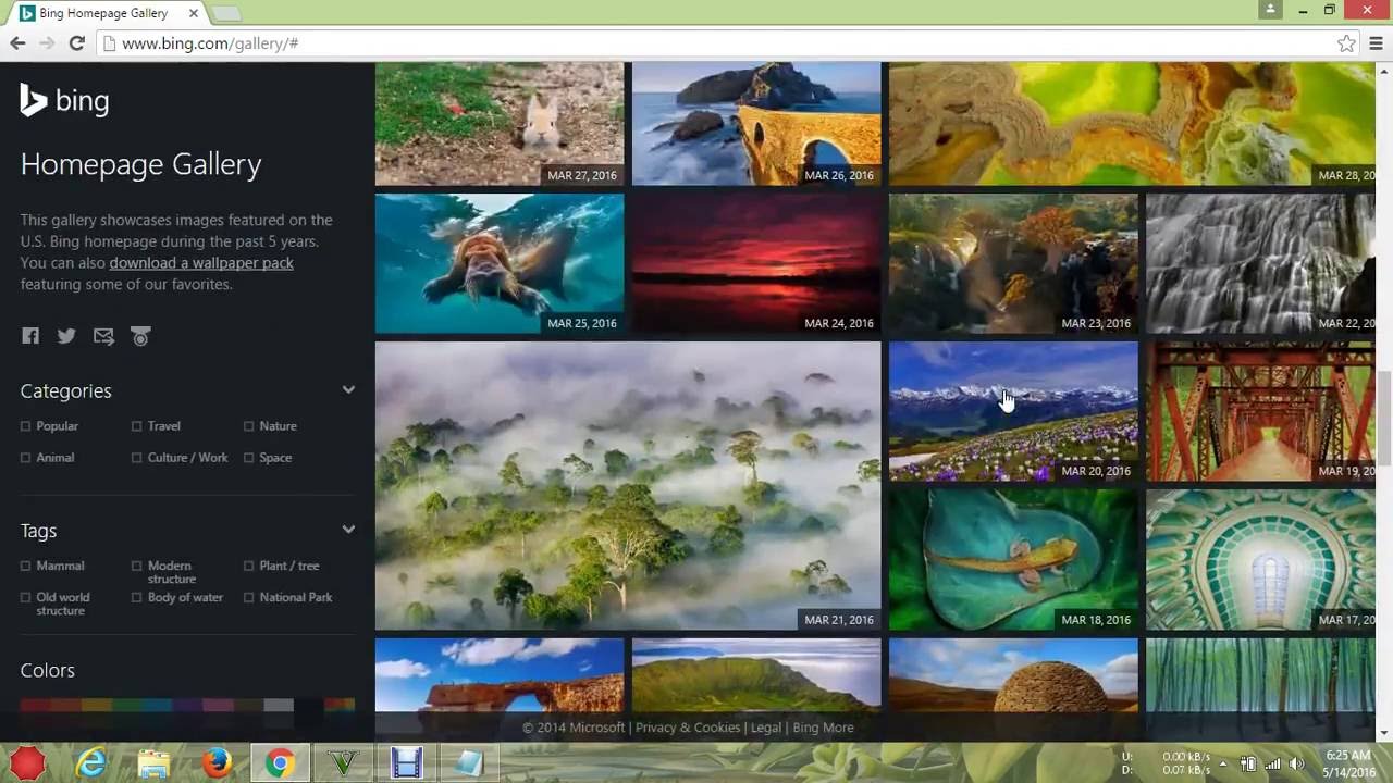 Bing Gallery - HD Wallpaper 