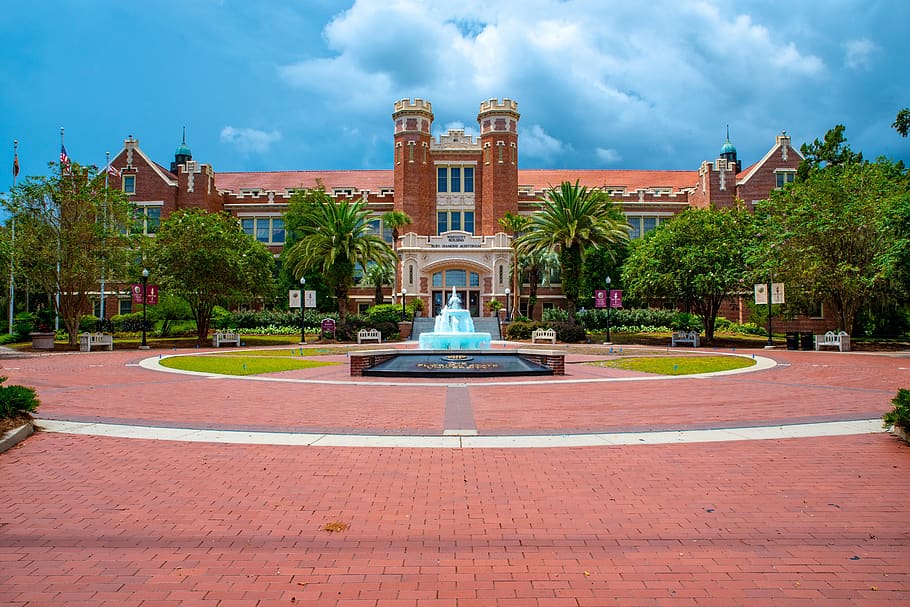 Florida State University - HD Wallpaper 