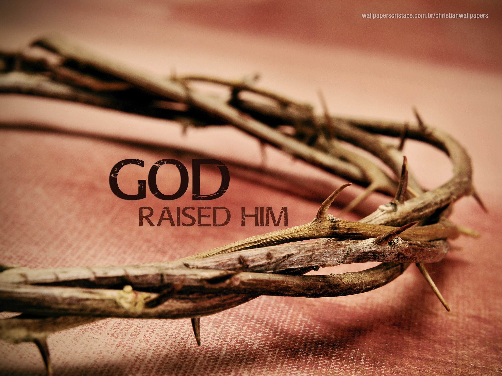 Crown Of Thorns Of Jesus Christ - 2048x1536 Wallpaper Crown Of Thorns Of Jesus Christ - 2048x1536 Wallpaper