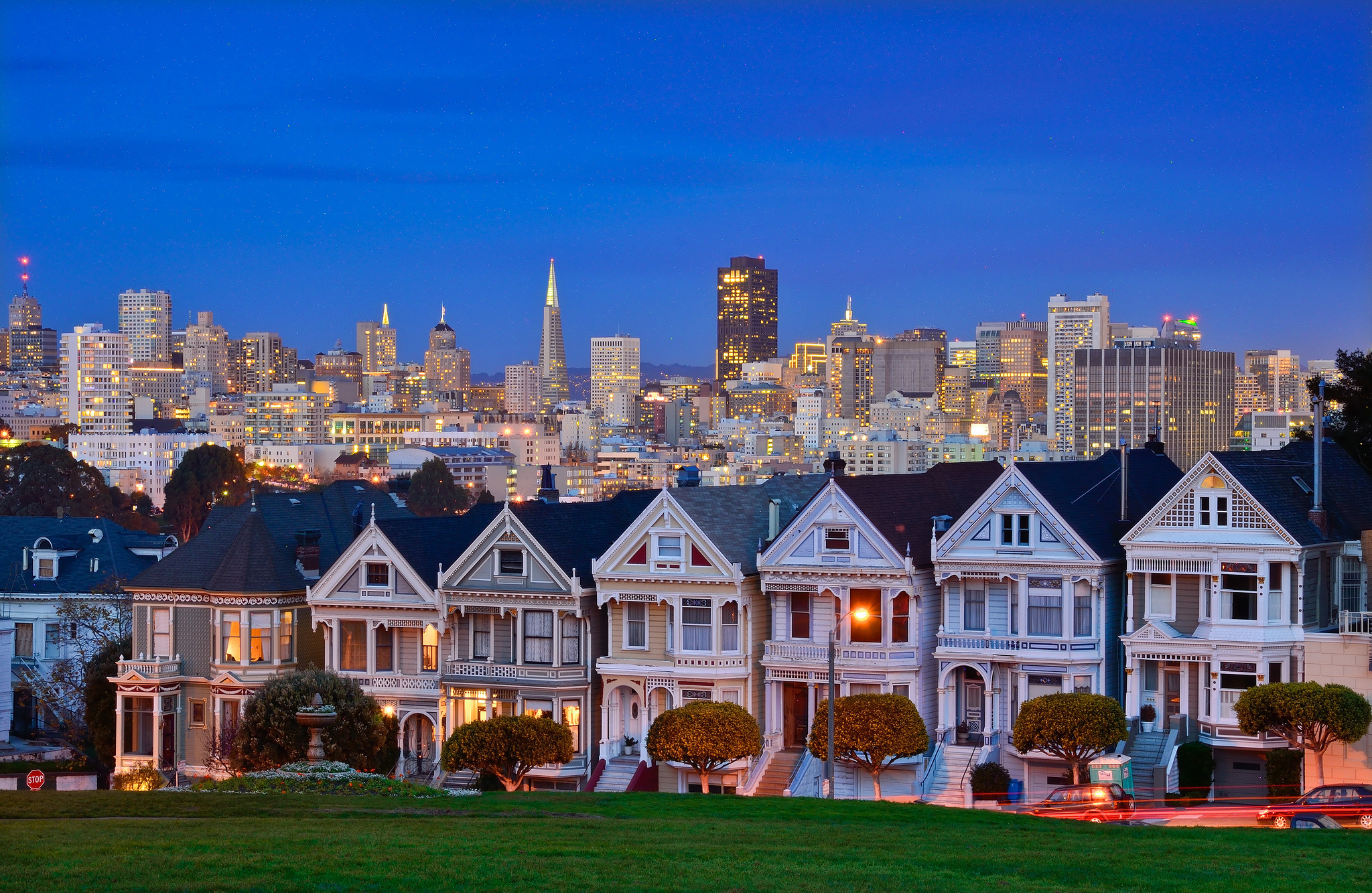 Painted Ladies - HD Wallpaper 