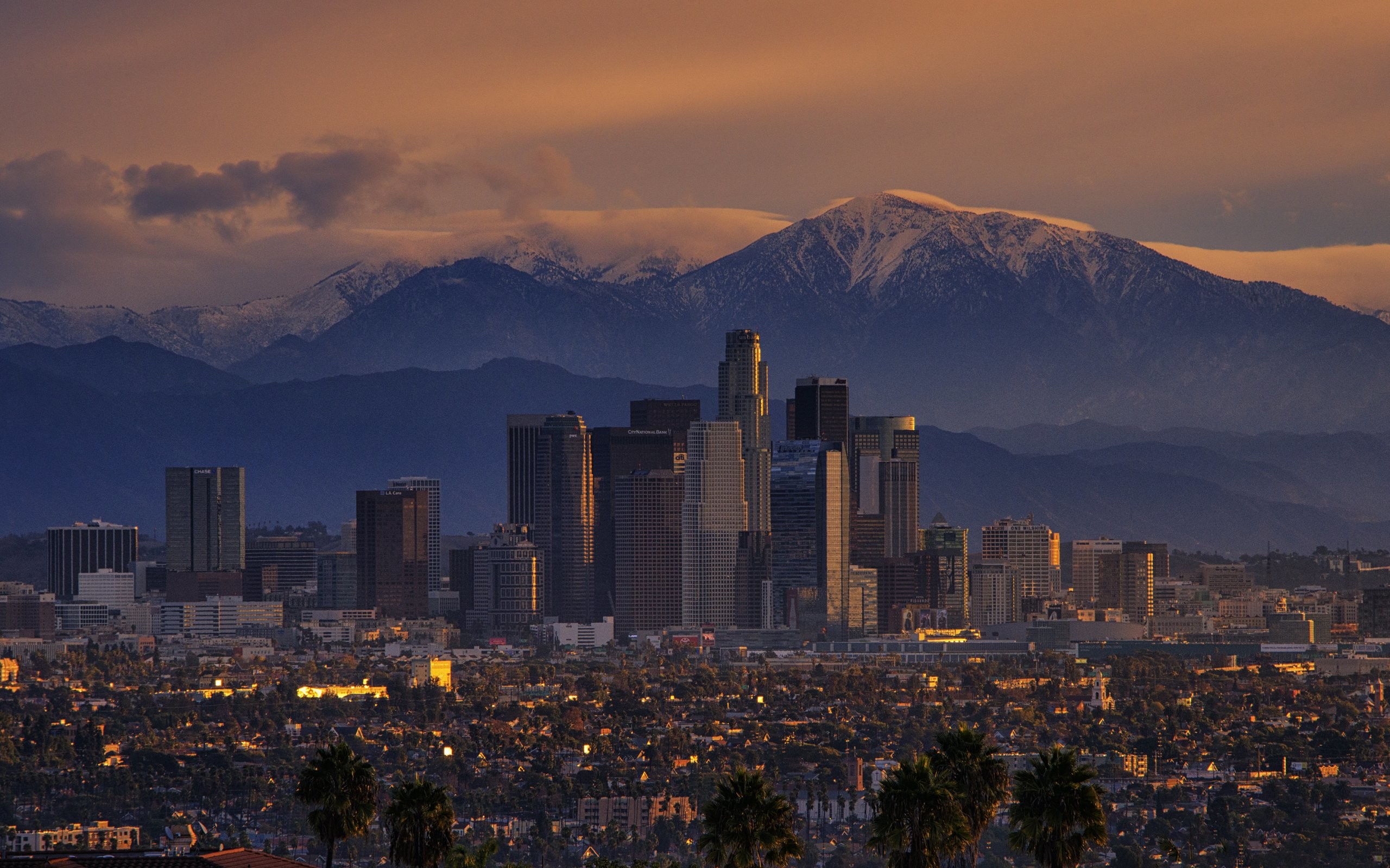 Hd Wallpaper - Los Angeles California Wallpaper For Iphone 7 - HD Wallpaper 