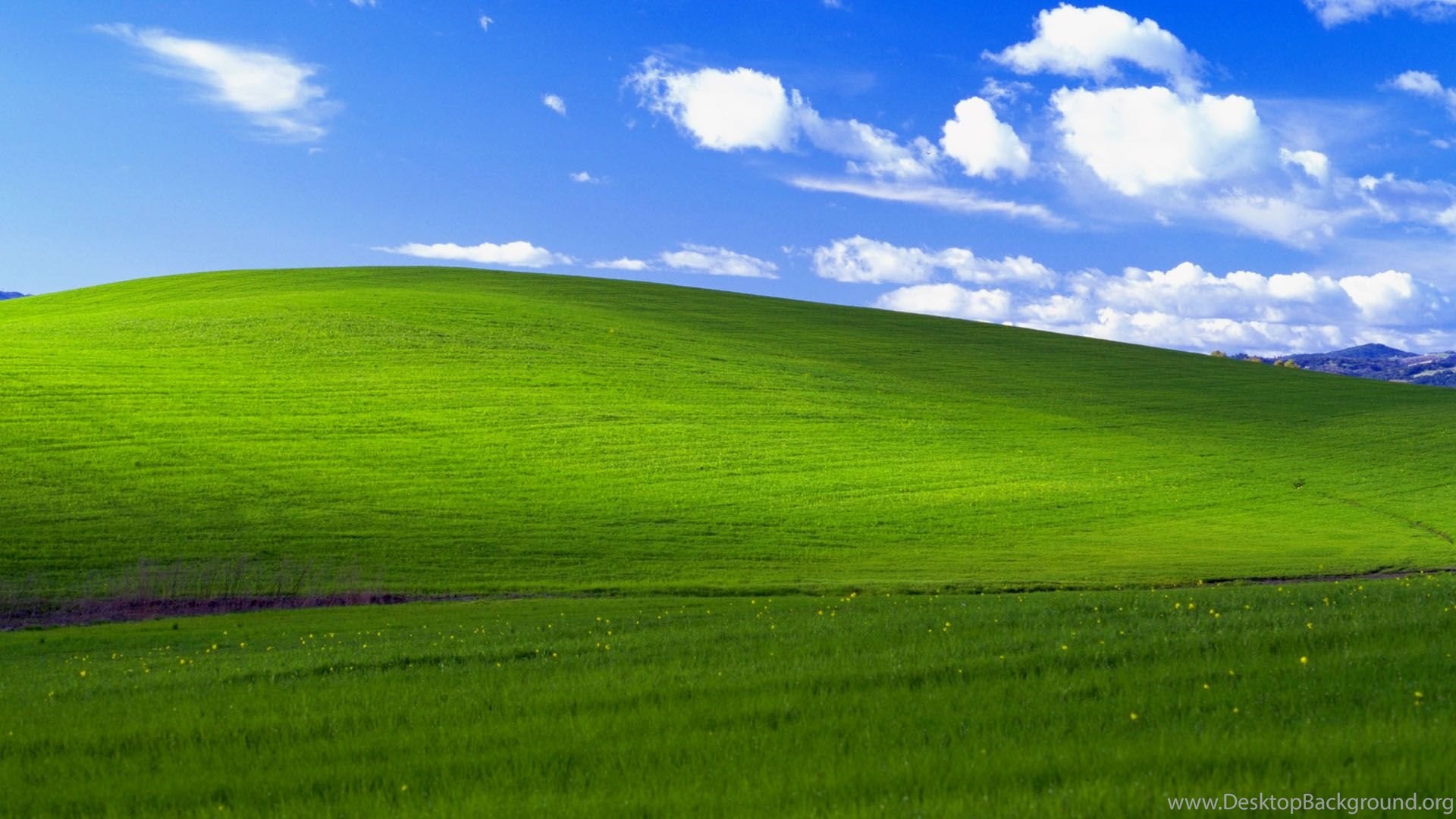 Thumb Image - Windows 7 Wallpaper Grass - HD Wallpaper 