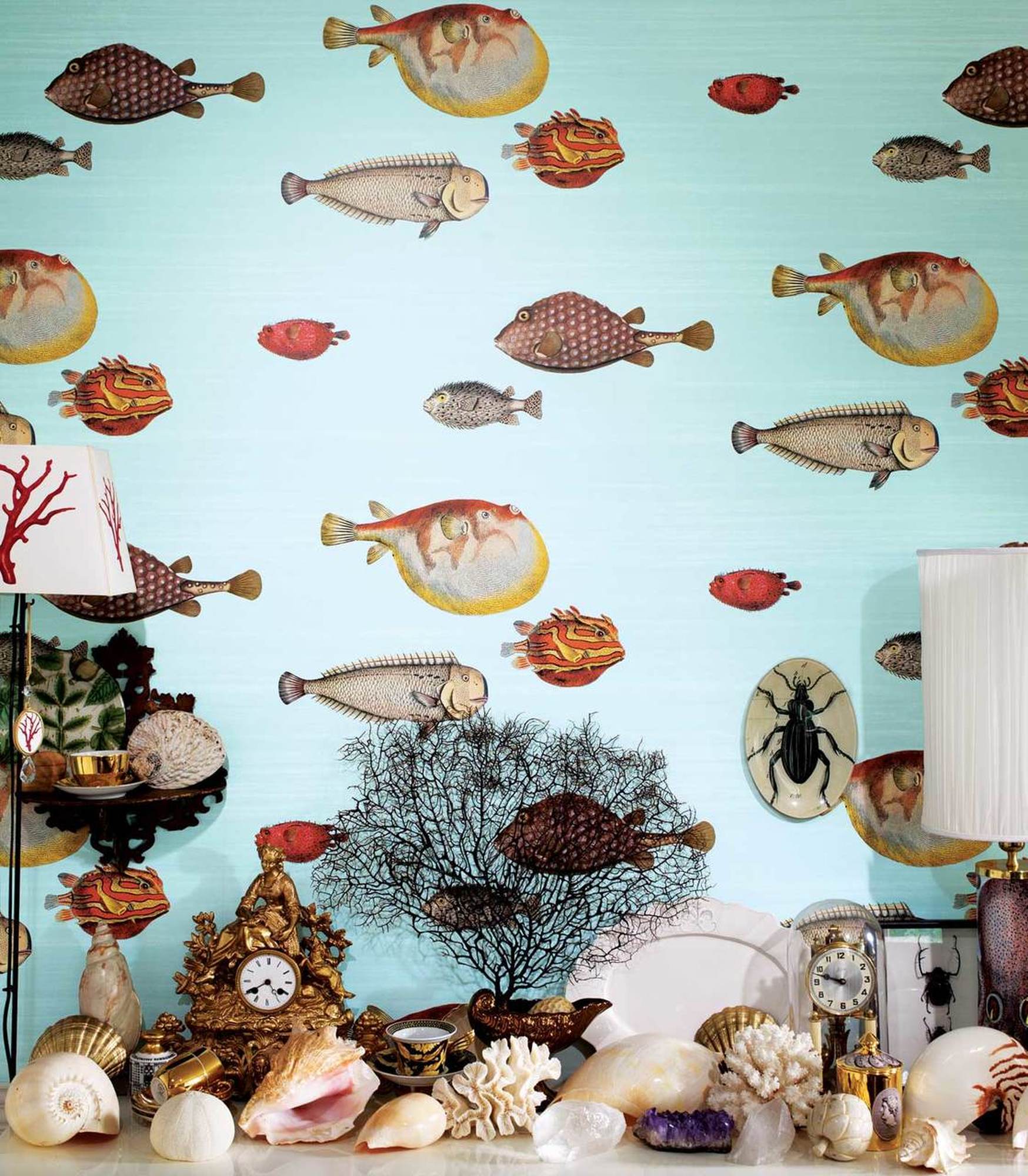 Acquario Fornasetti - HD Wallpaper 
