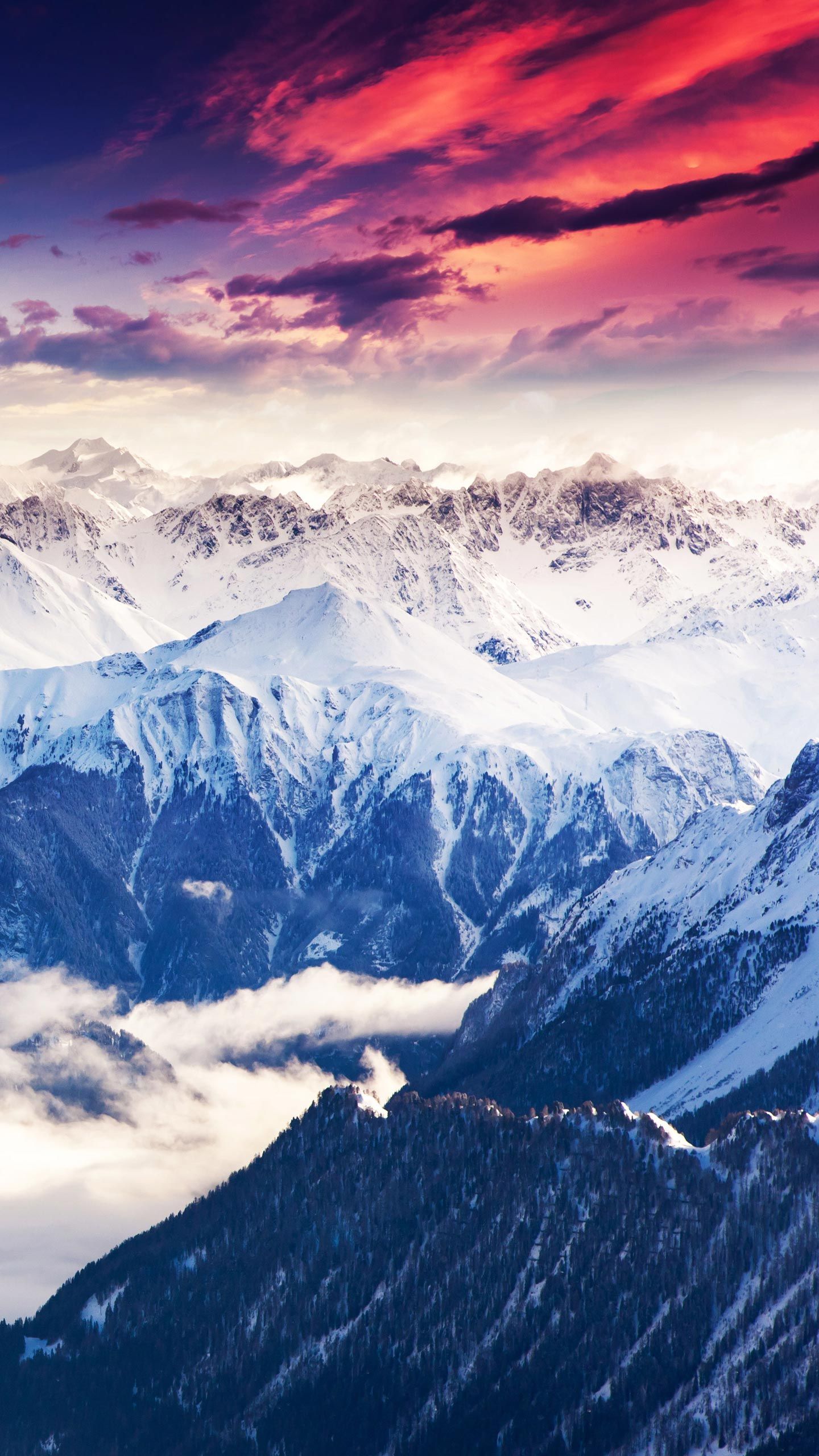Nature - 1440x2560 Wallpaper - teahub.io
