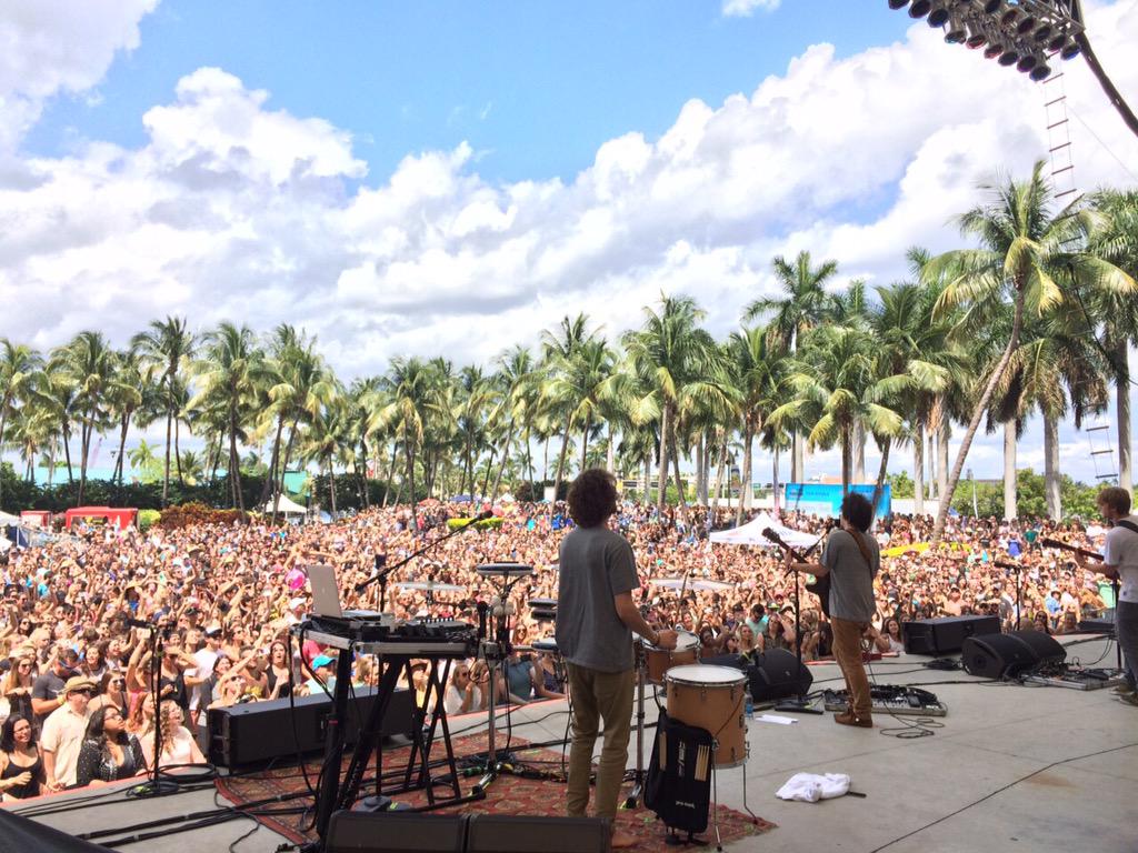 Attalea Speciosa - HD Wallpaper 