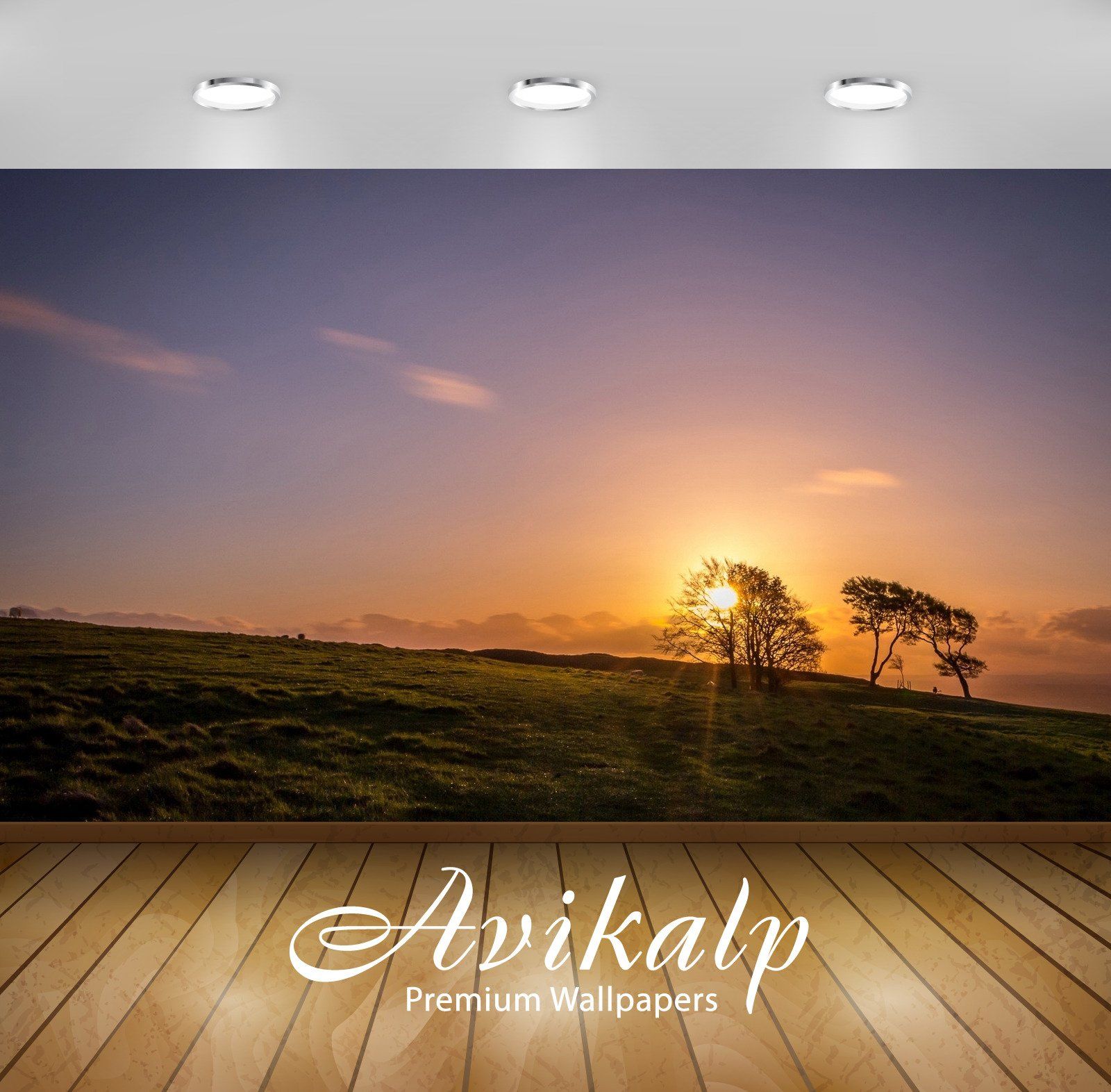 Wallpaper - HD Wallpaper 