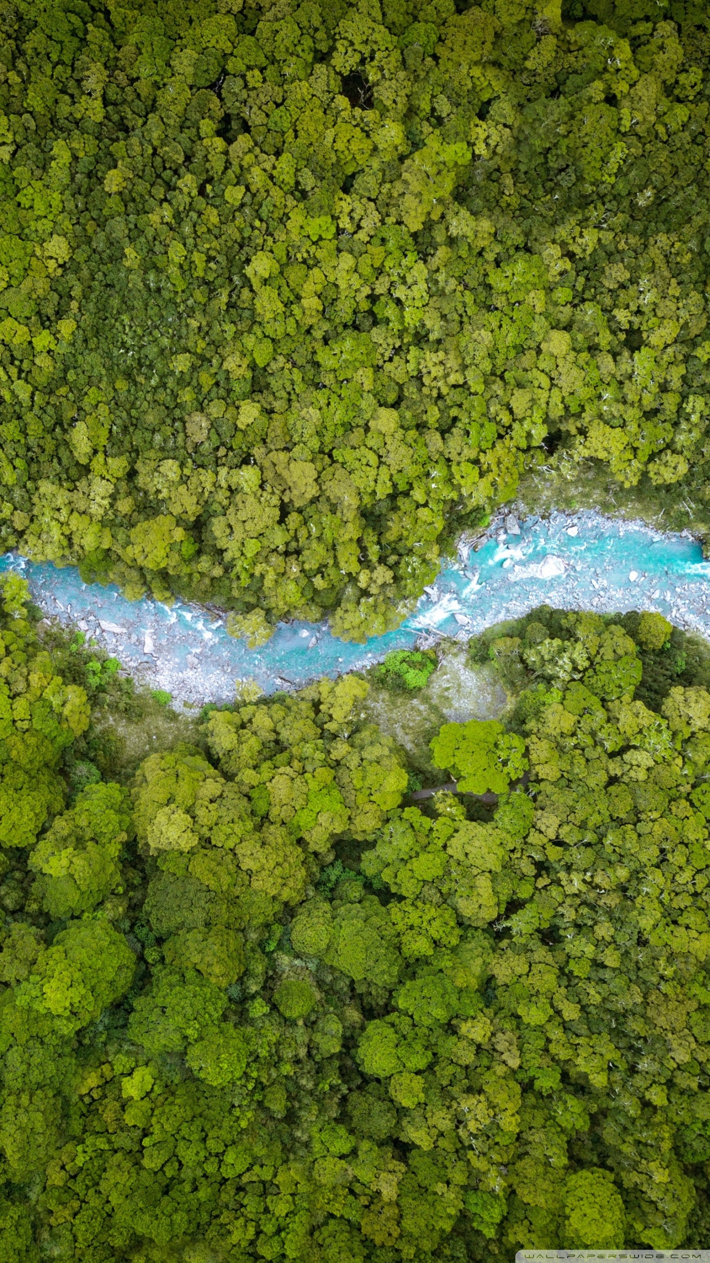 Mobile Phone - HD Wallpaper 