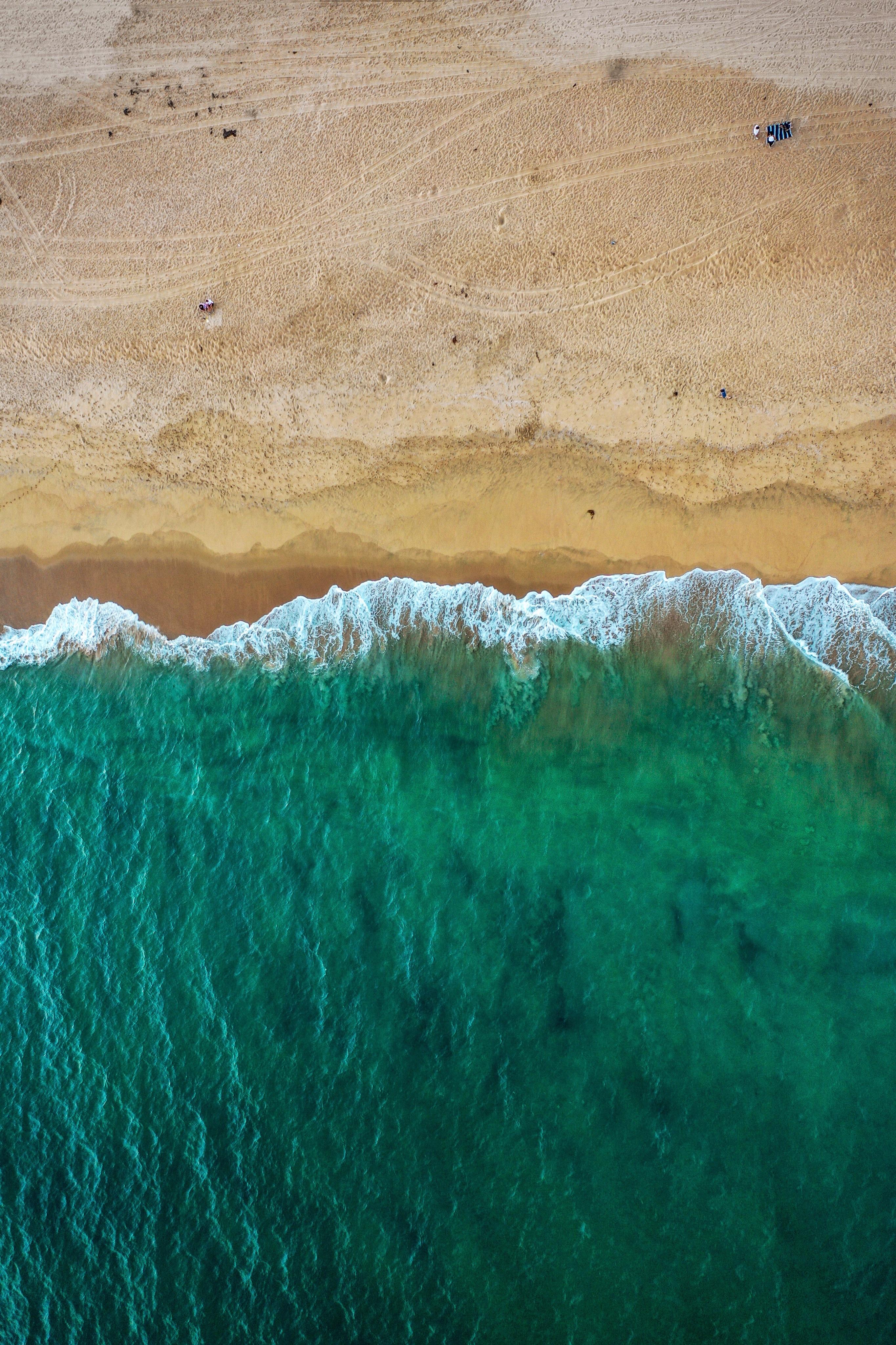 Grass - HD Wallpaper 