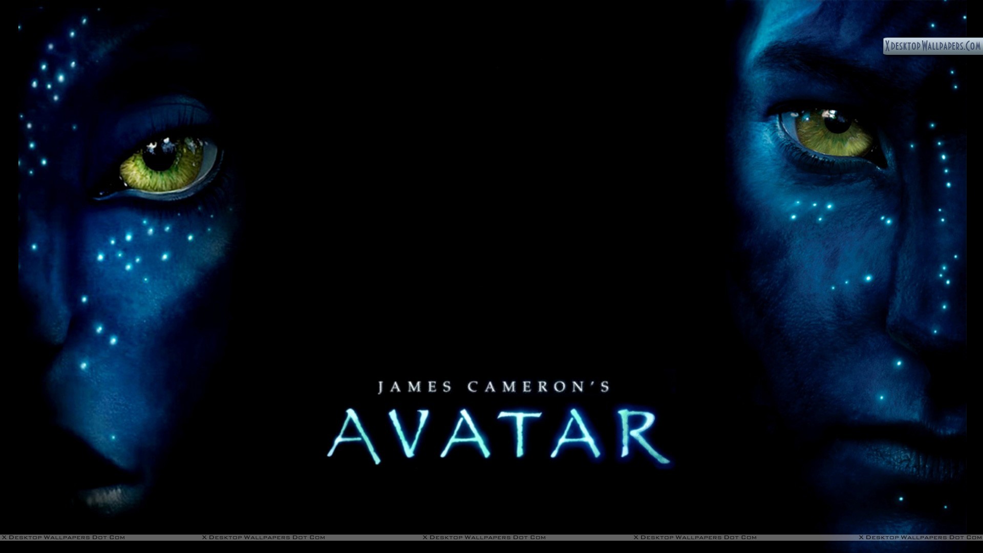 Avatar Movie Poster Wallpaper - Black Cat - HD Wallpaper 