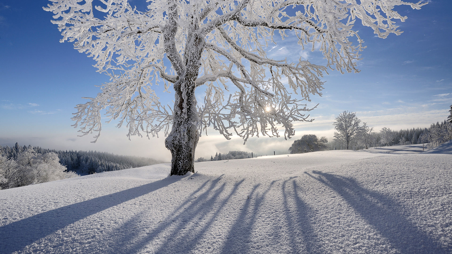Snow And Sun - HD Wallpaper 