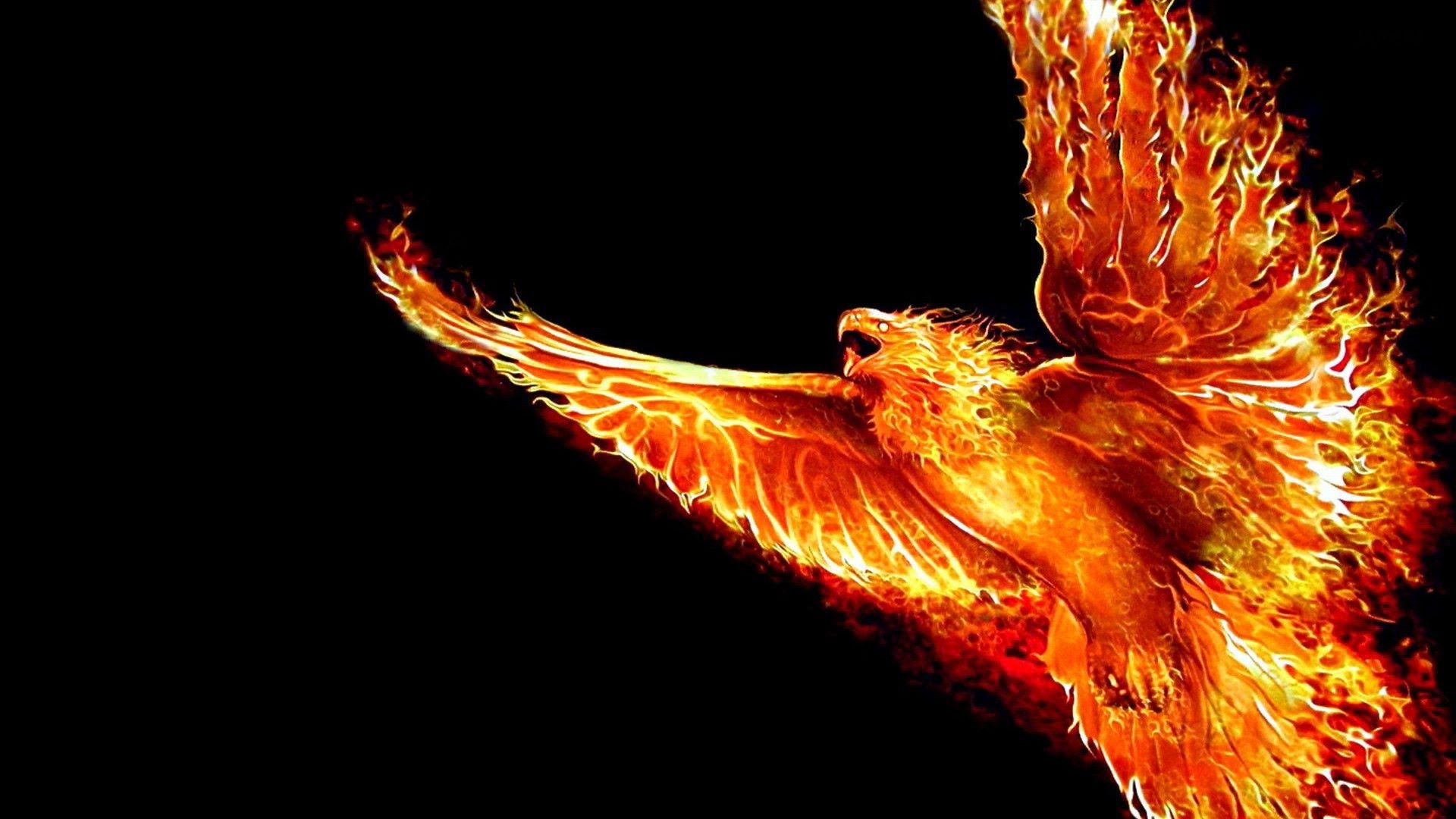 Phoenix Wallpaper Hd - HD Wallpaper 