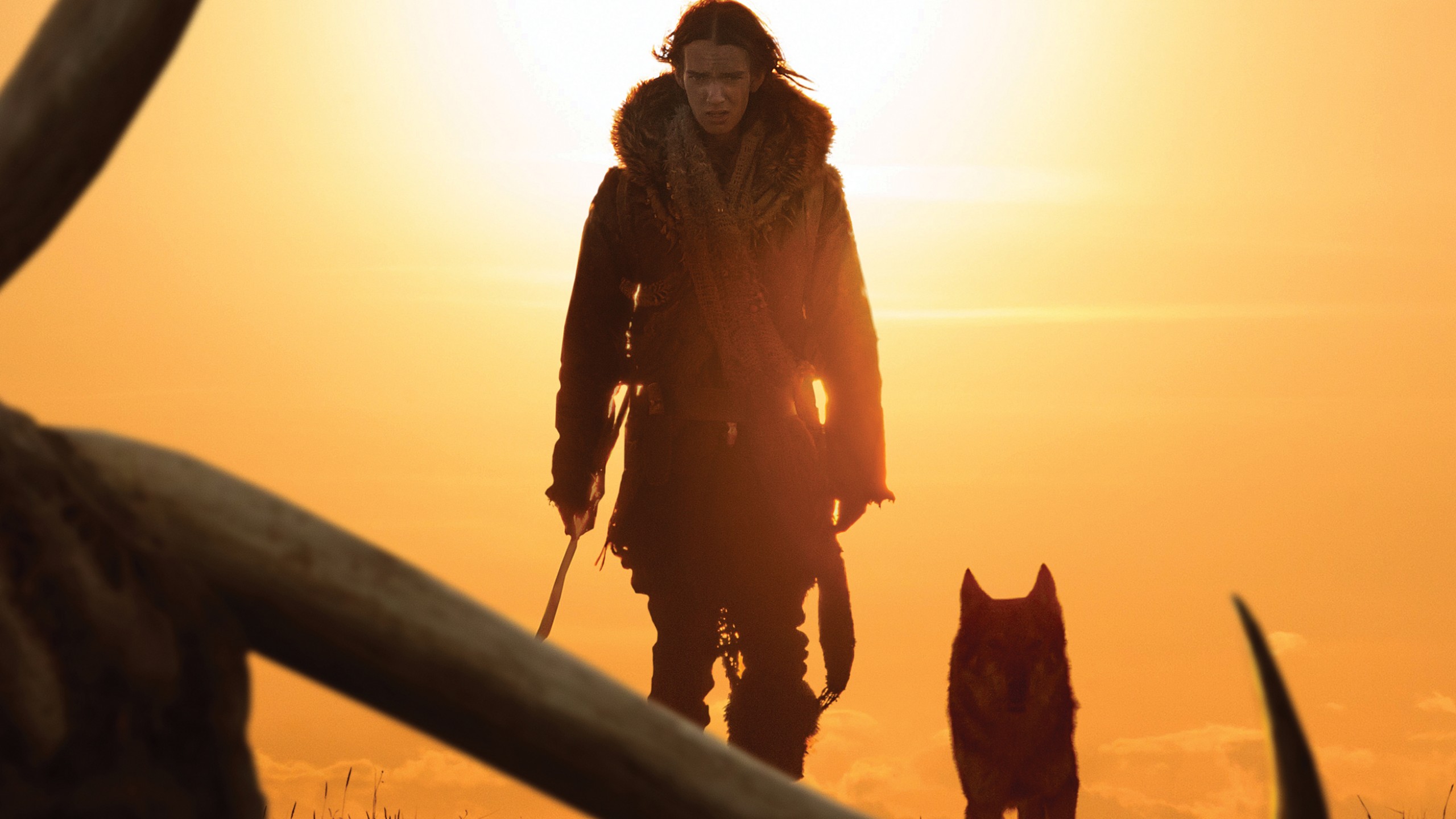 Film Alpha - HD Wallpaper 