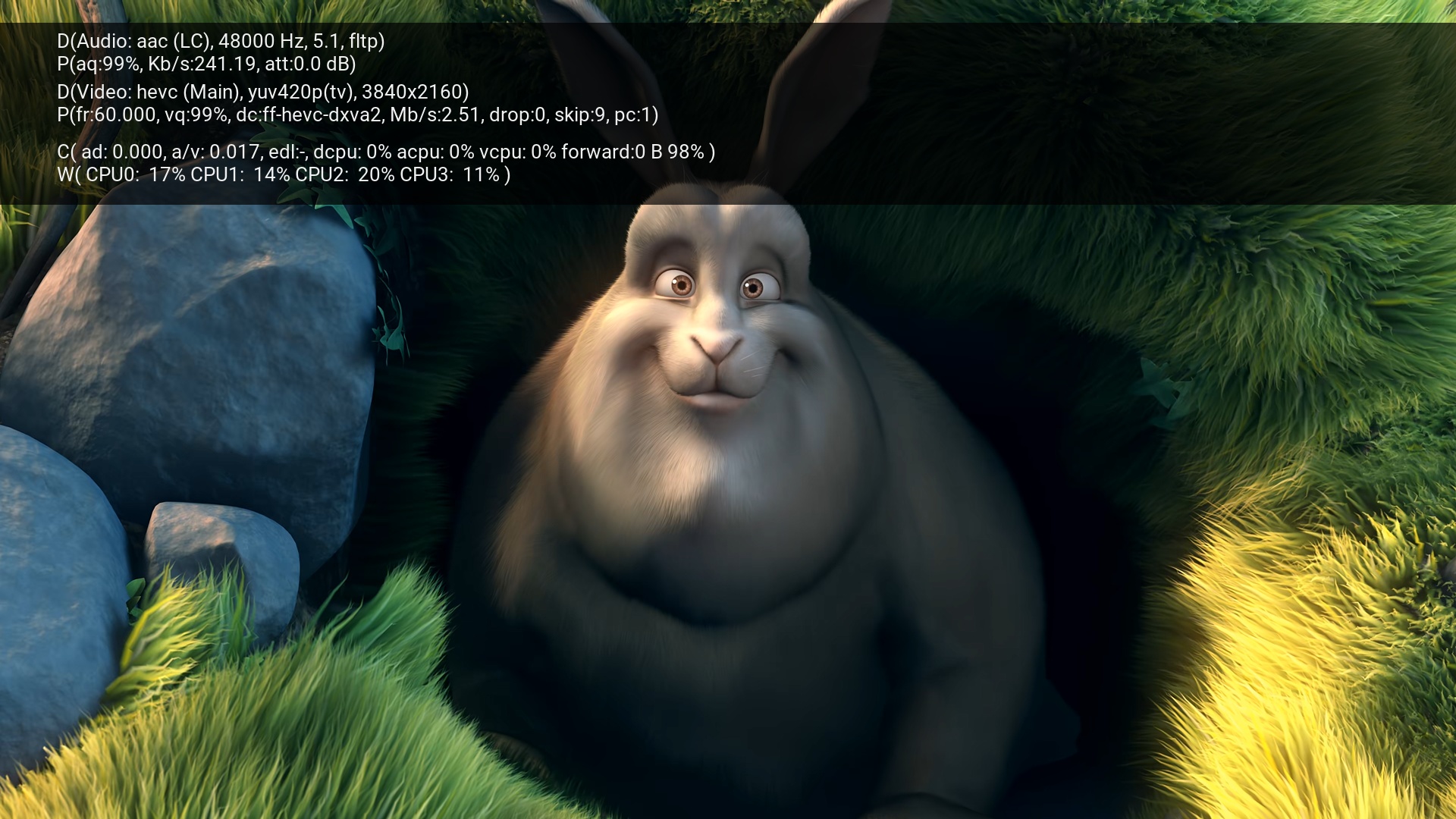 Skylake Nuc Plays 4k Hevc Material At 60 Fps - Buck The Big Bunny - HD Wallpaper 