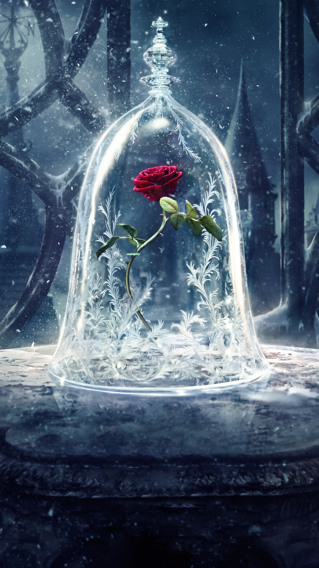 Beauty And The Beast - Rosa Beauty And The Beast - HD Wallpaper 
