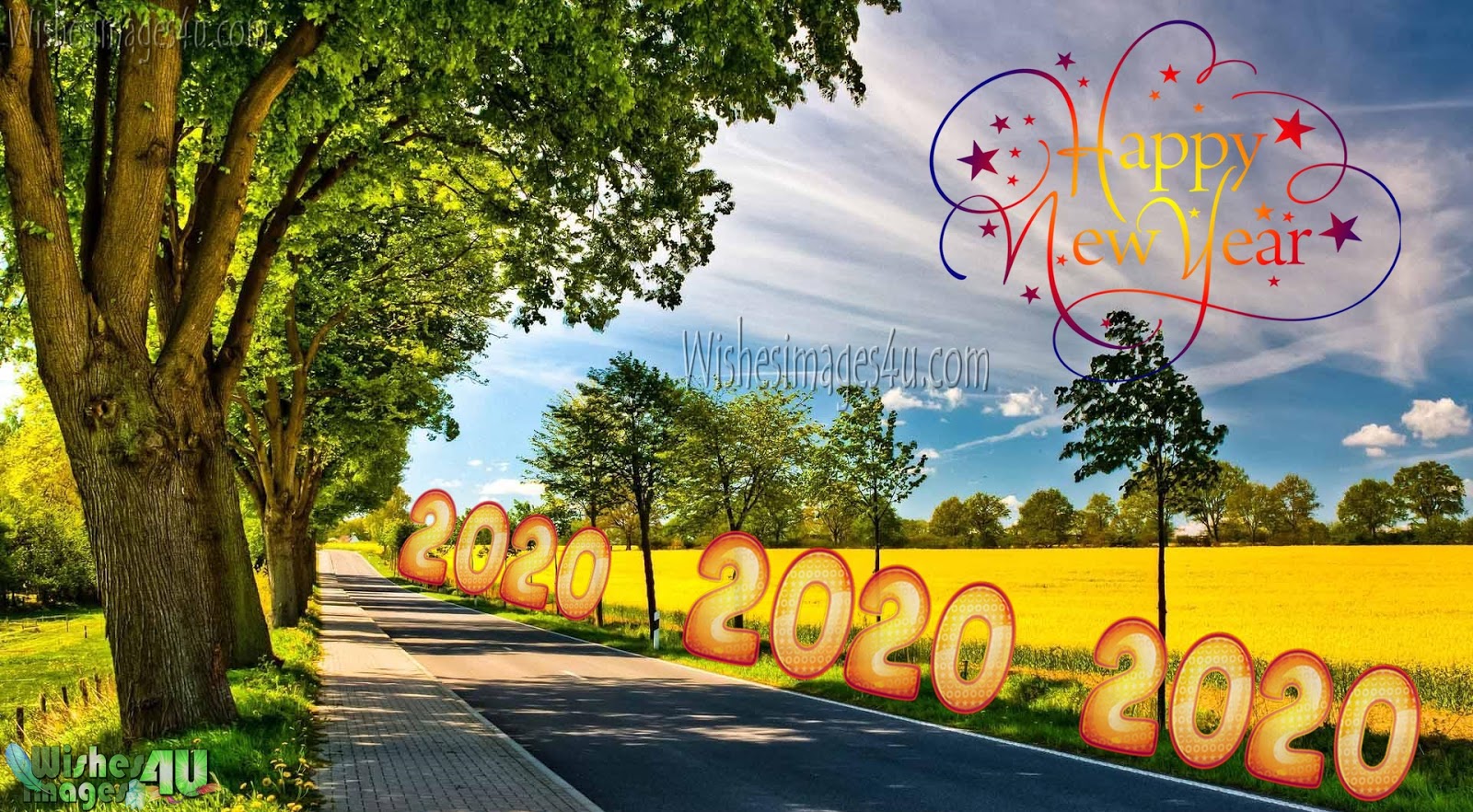 Happy New Year 2020 Nature Wallpapers Download Free - Happy New Year 2020  Image Nature - 1600x882 Wallpaper 