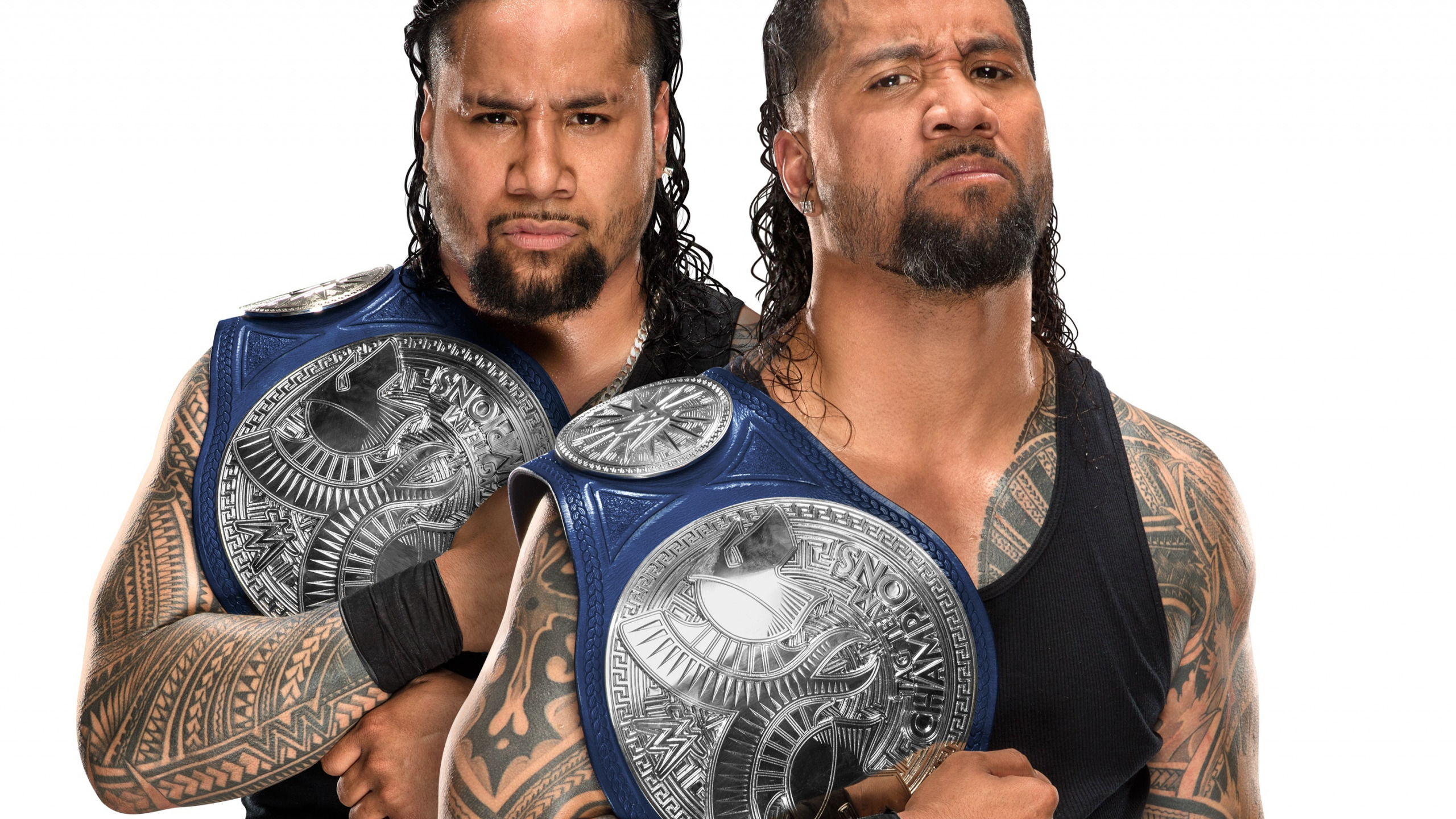 Wwe Shield Hd Wallpaper - HD Wallpaper 