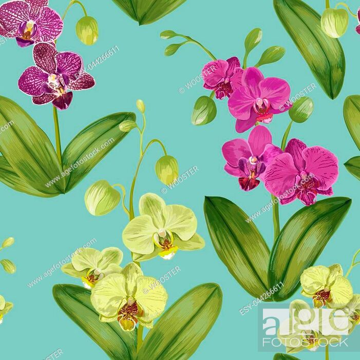 Seamless Tropical Pattern With Orchid Flowers - Moth Orchid - HD Wallpaper 