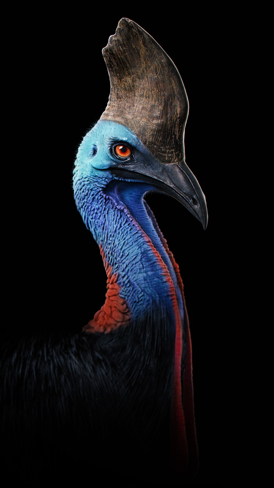 Bird Dinosaur - HD Wallpaper 