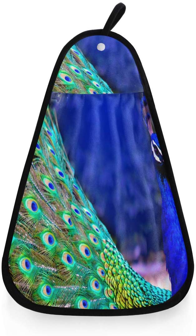 Peafowl - HD Wallpaper 