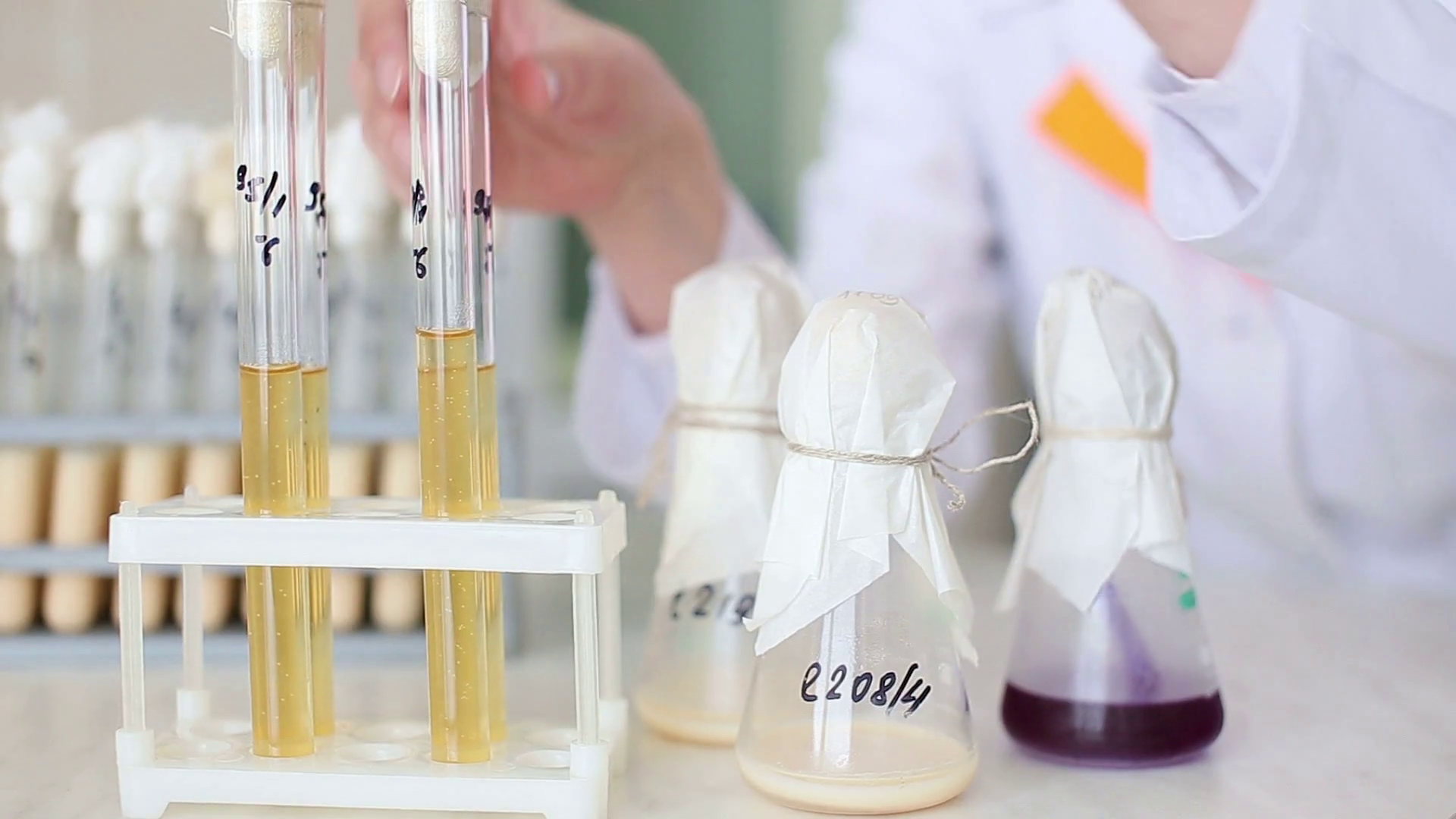 Microbiology Materials - HD Wallpaper 