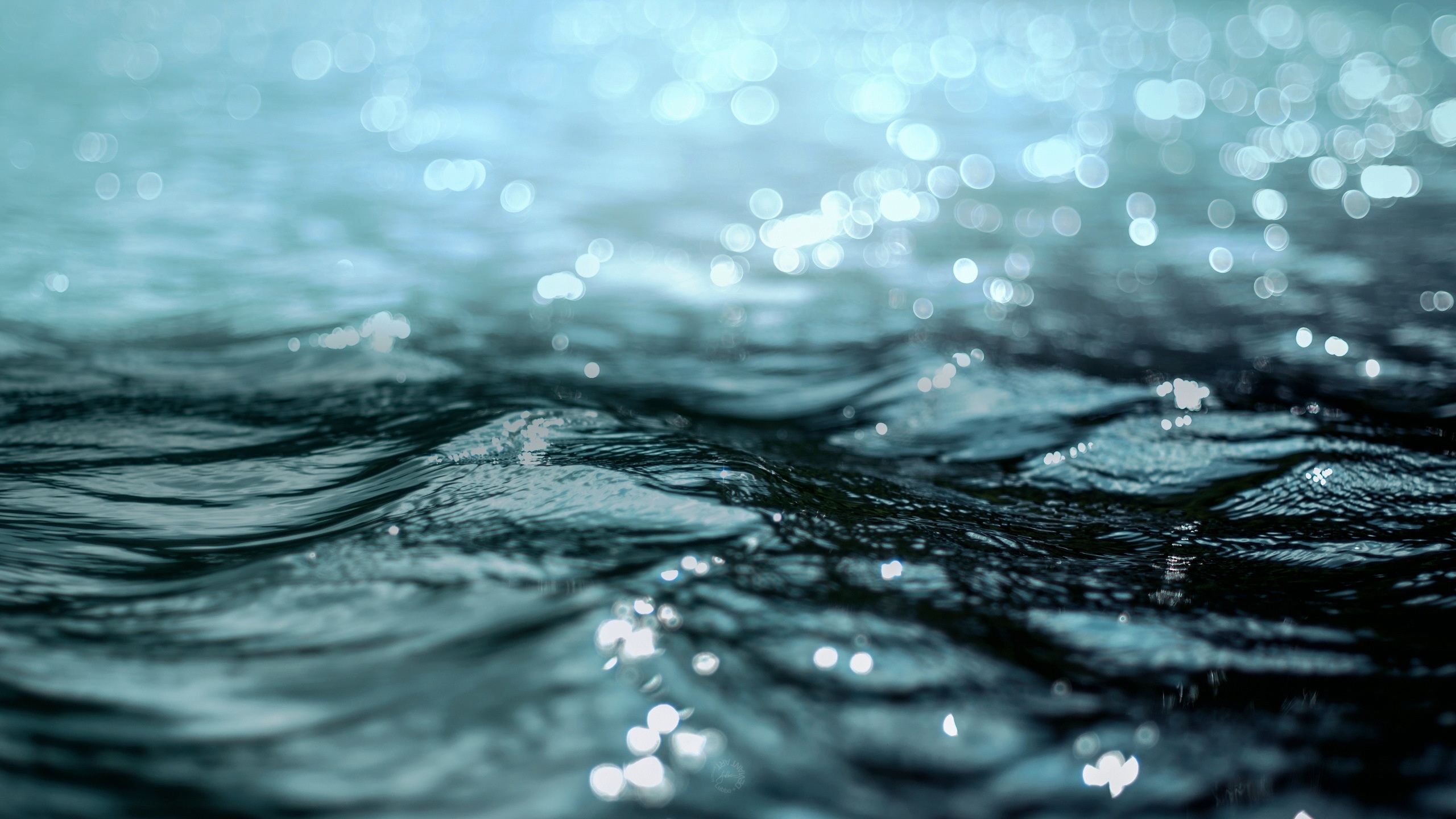 Macro Image Of Water - HD Wallpaper 