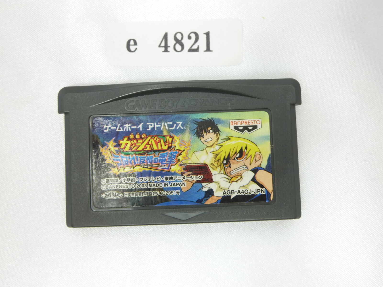 Zatch Bell Electric Arena - HD Wallpaper 