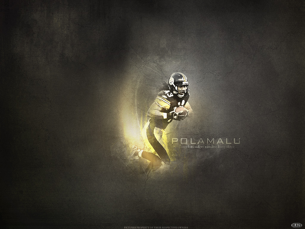 Steelers Wallpaper - Troy Polamalu - HD Wallpaper 