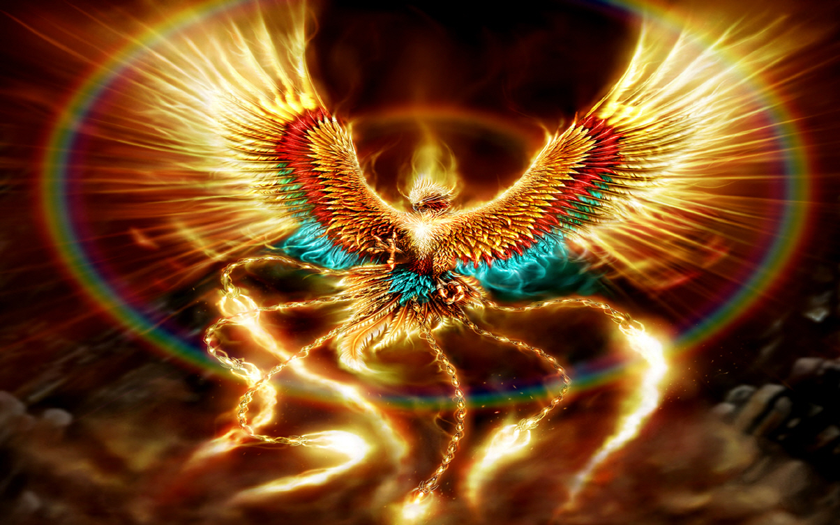 Fire Bird - HD Wallpaper 