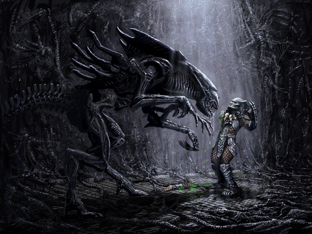 Alien Queen Vs Predator - Reina Alien Vs Depredador - HD Wallpaper 