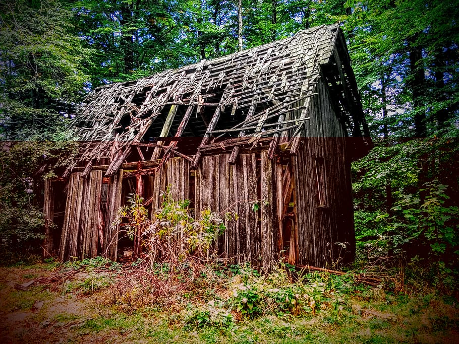 Abandoned Brown Wooden House, Old, Cottage, Forest, - Forest Old Cottage - HD Wallpaper 