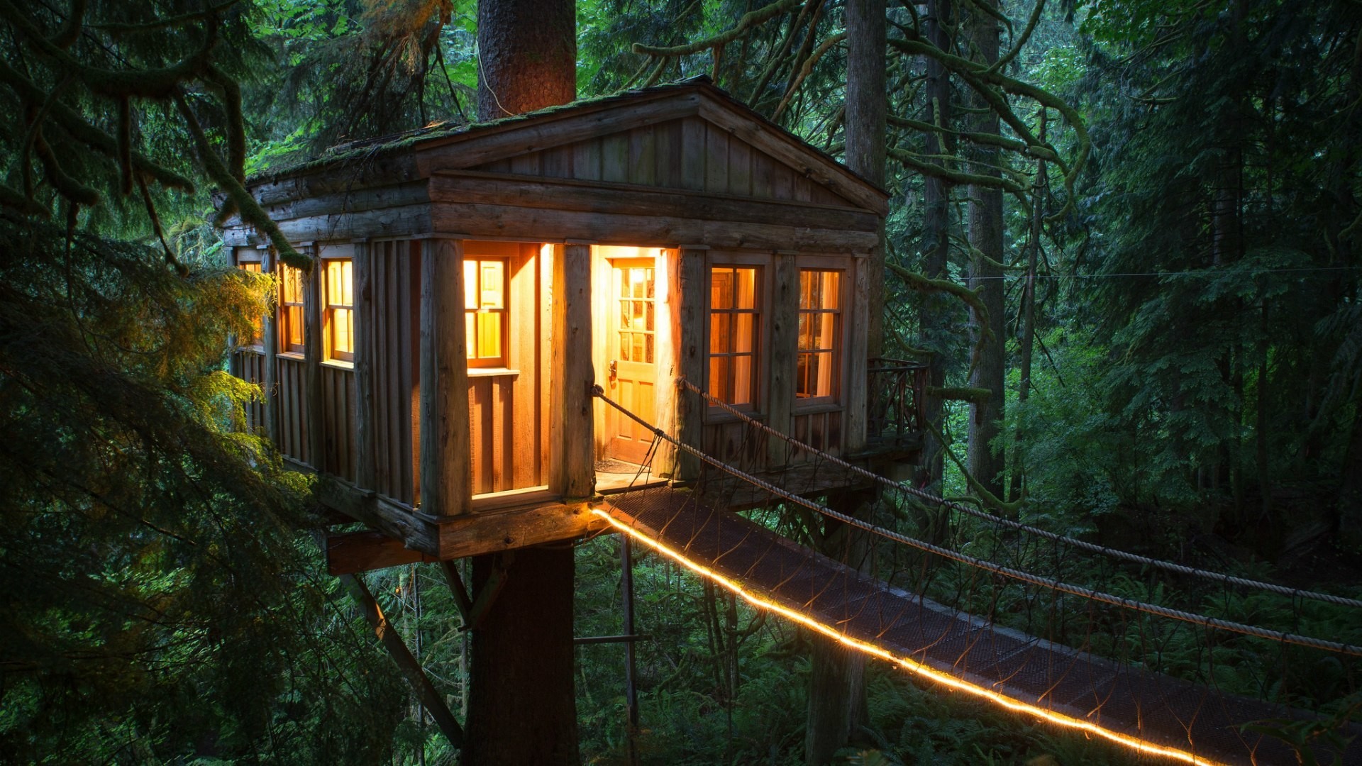 Cute Tree House For Couple - HD Wallpaper 