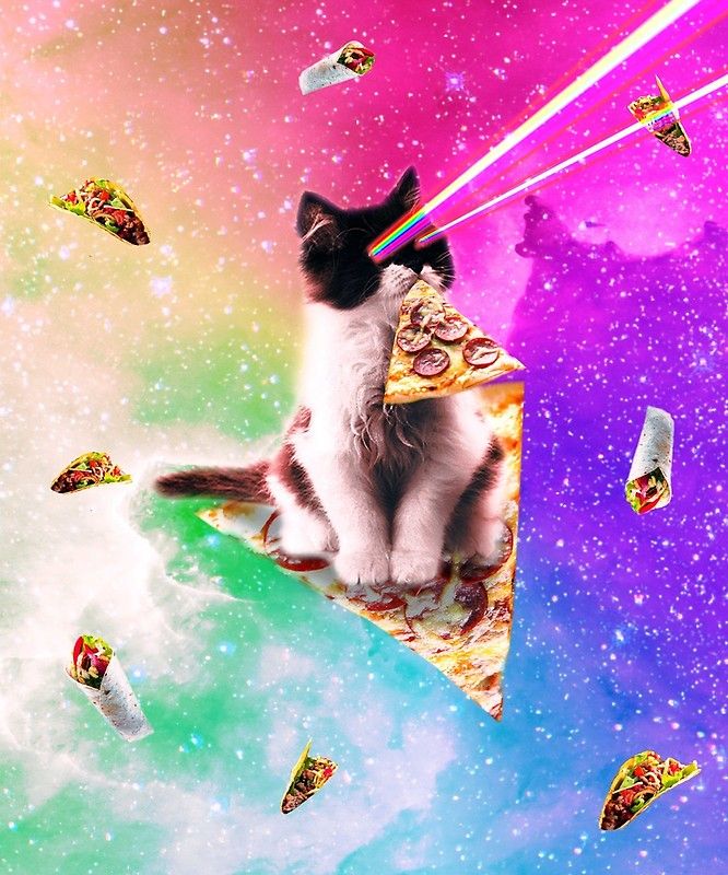 Space Cat Pizza Meme - HD Wallpaper 