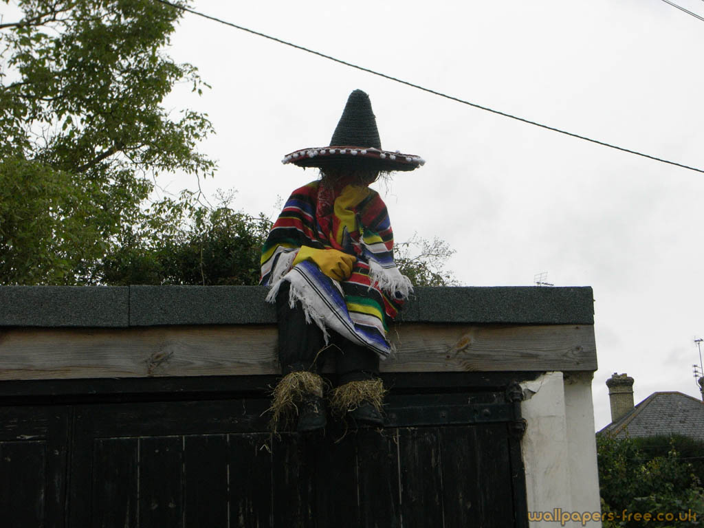 Mexican Living Scarecrow - Tree - HD Wallpaper 