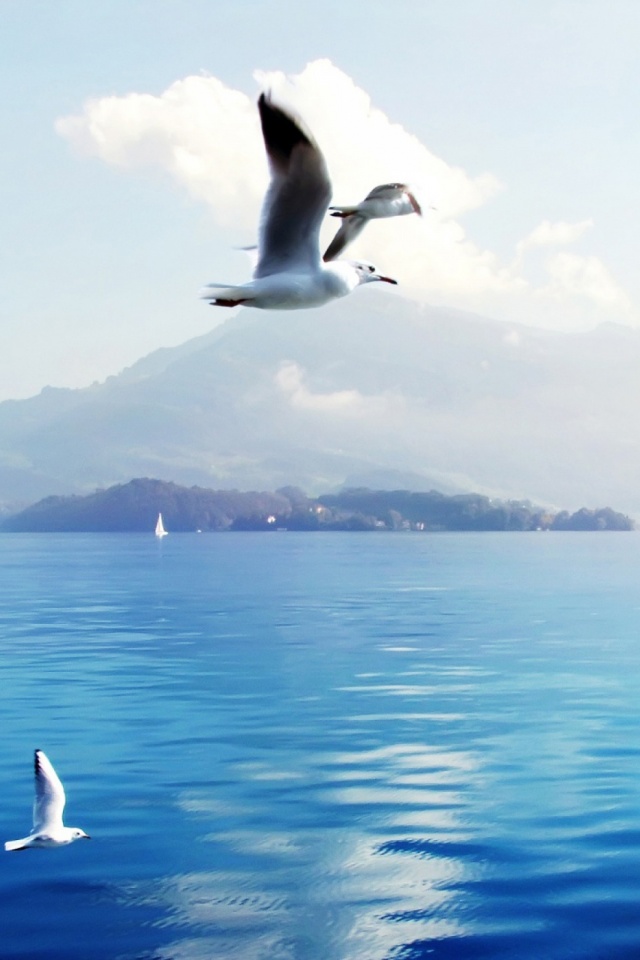 Switzerland Hd Wallpaper For Mobile - HD Wallpaper 