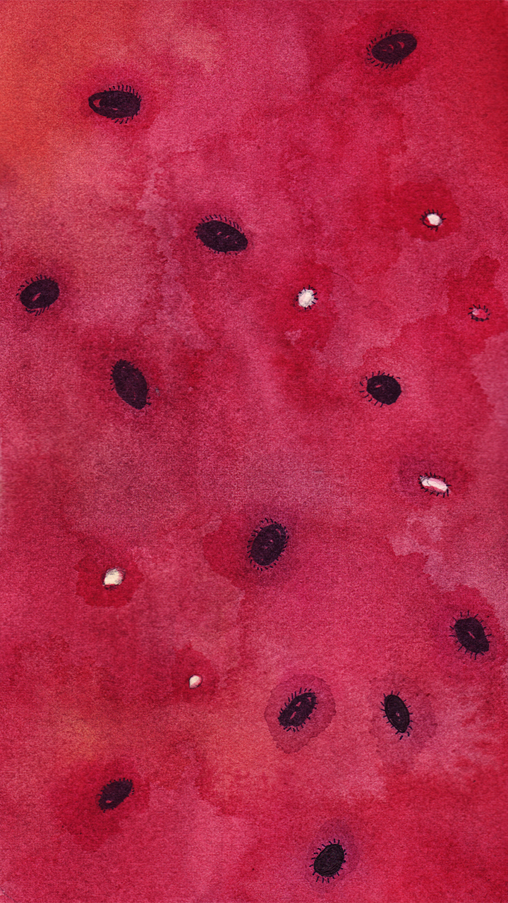 Fruit - HD Wallpaper 