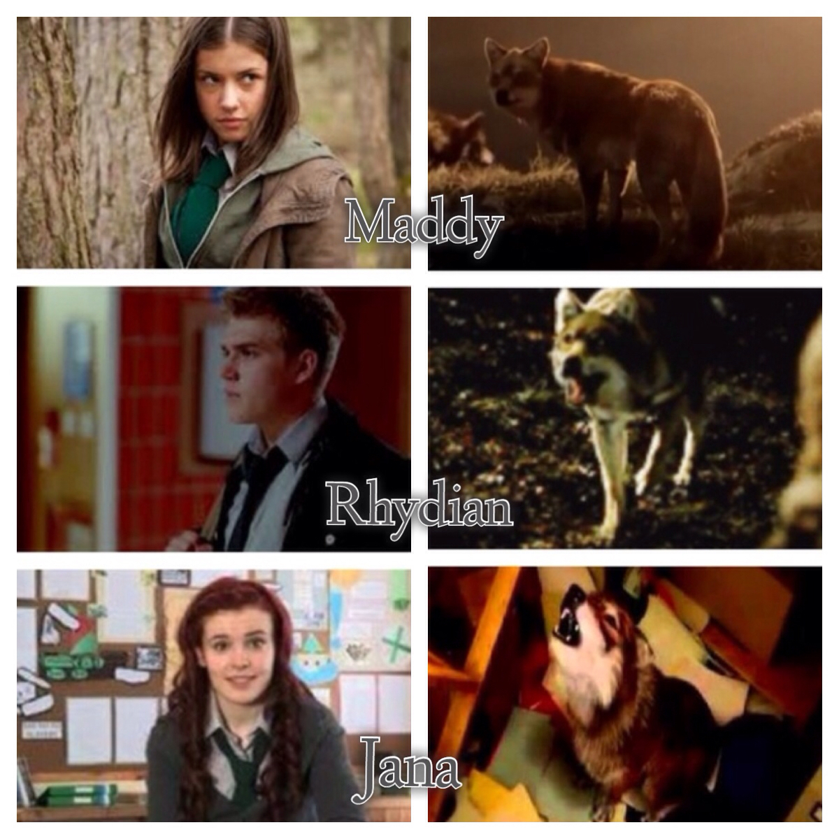 Wolfblood Maddy Rhydian And Jana - HD Wallpaper 