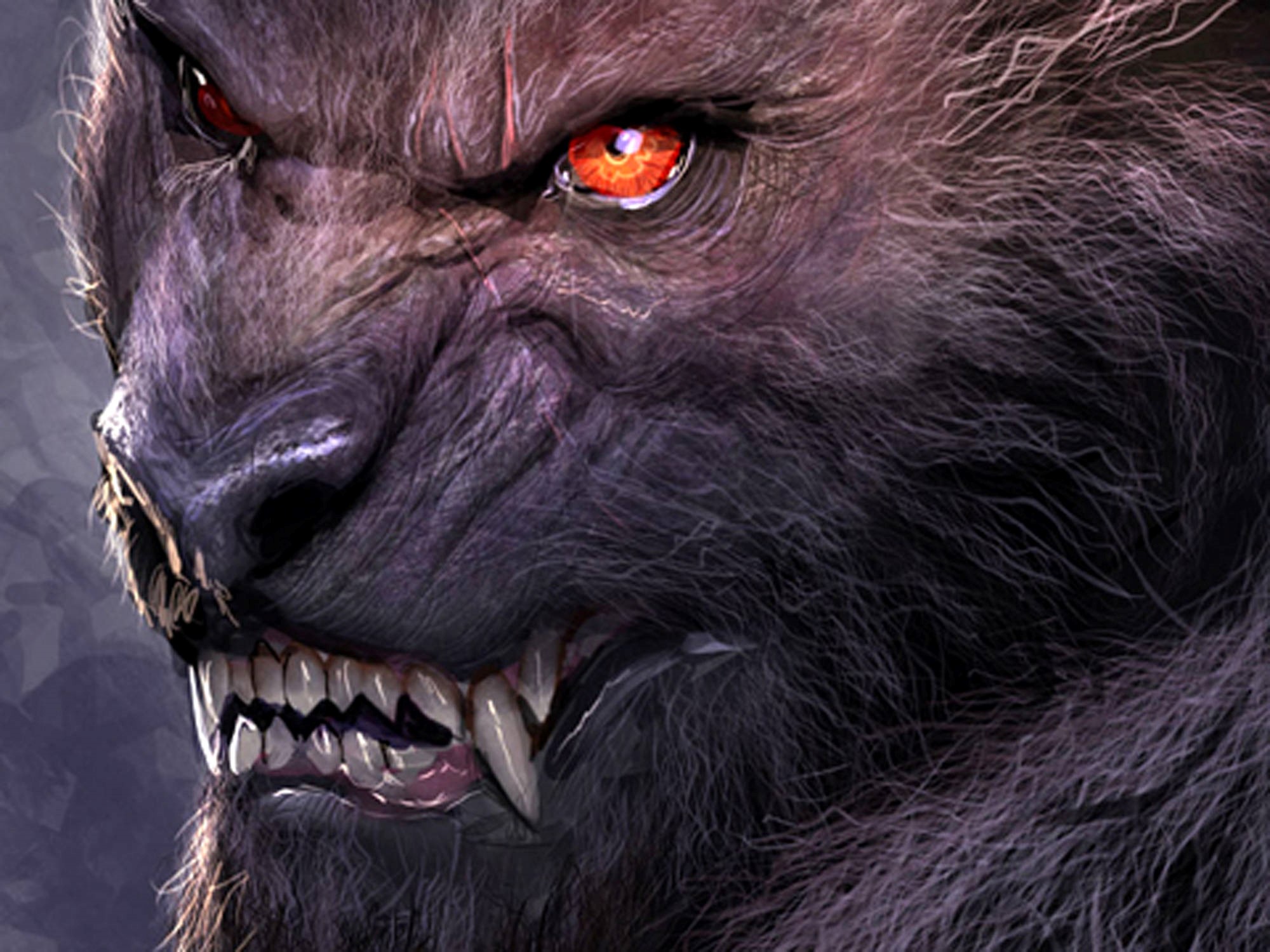 Werewolf Lycans - HD Wallpaper 