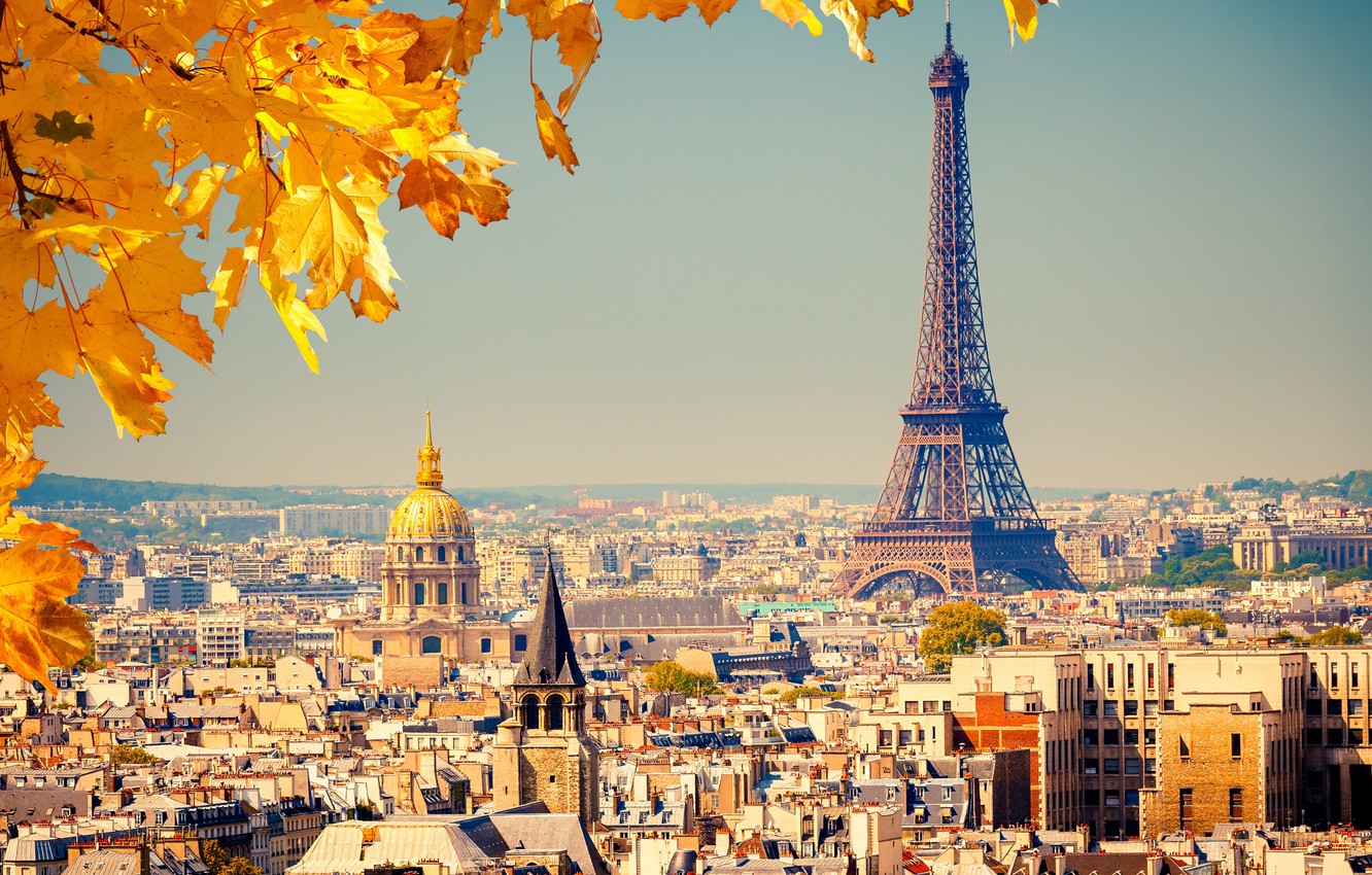 Photo Wallpaper Autumn, Leaves, The City, Background, - HD Wallpaper 
