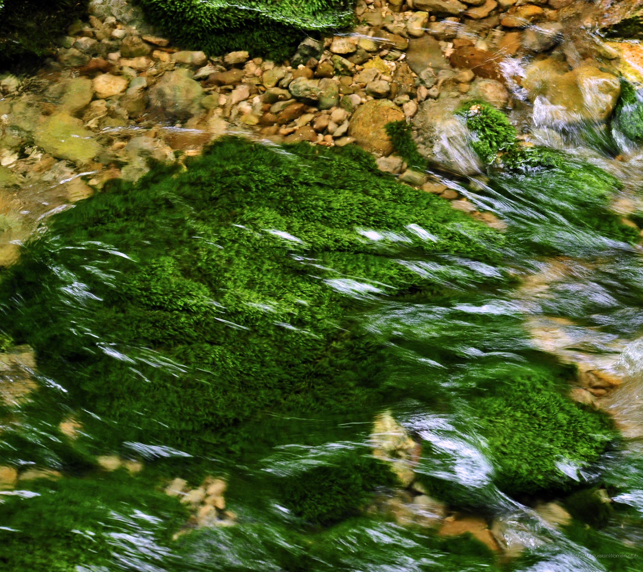 Leeco Le 2 Pro - Wallpaper - HD Wallpaper 