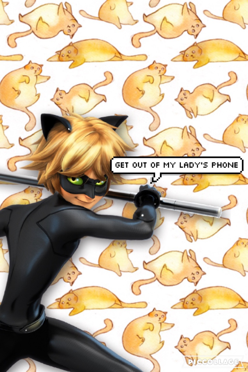 Cats, Chat, And Wallpaper Image - Chat Noir Miraculous Ladybug Png - HD Wallpaper 