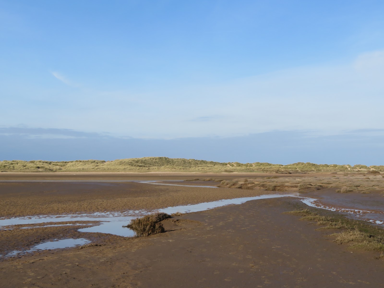 Mudflat - HD Wallpaper 