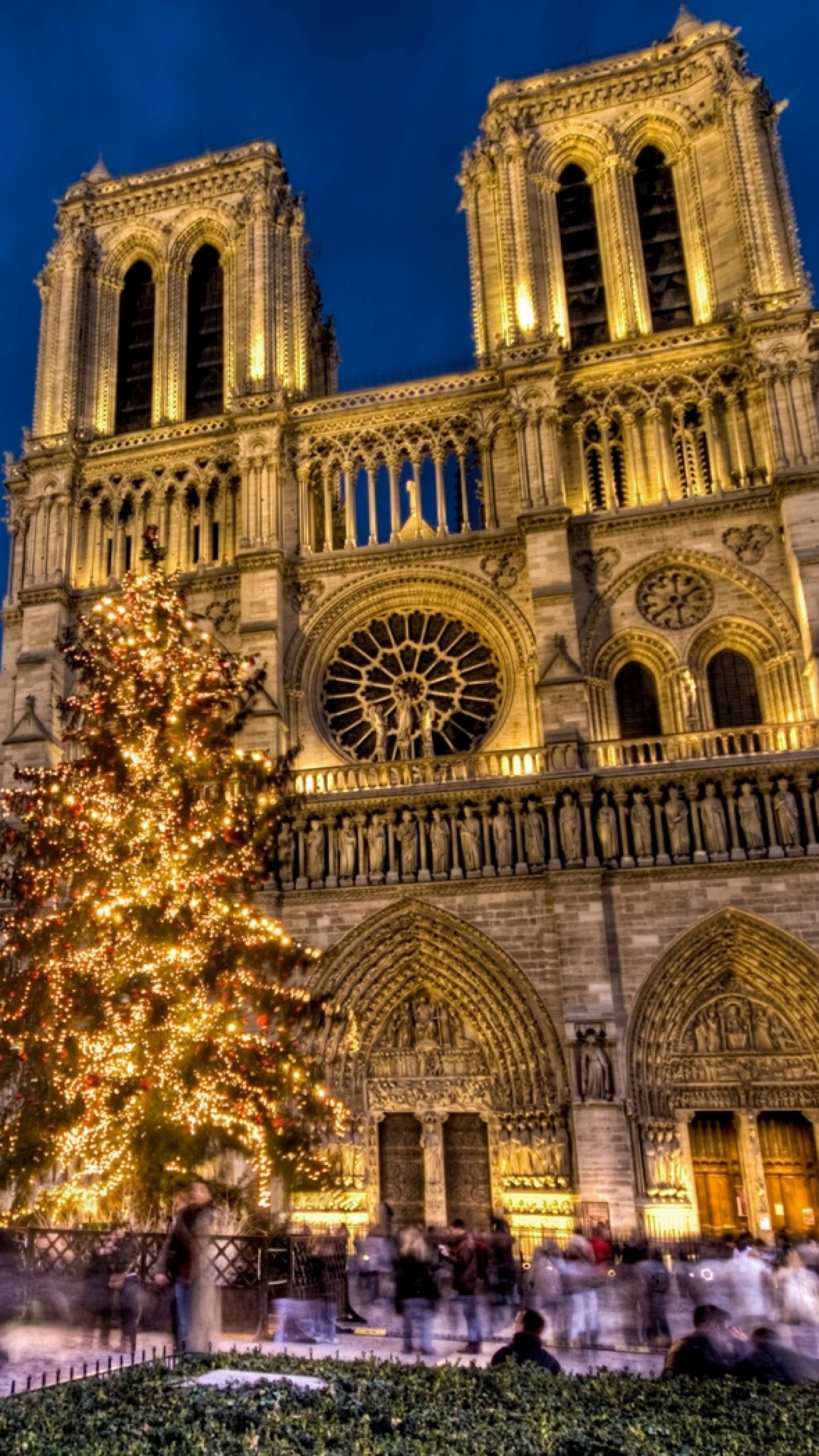 Wallpaper Notre Dame, Notre Dame De Paris, Paris, France, - Notre Dame De Paris - HD Wallpaper 
