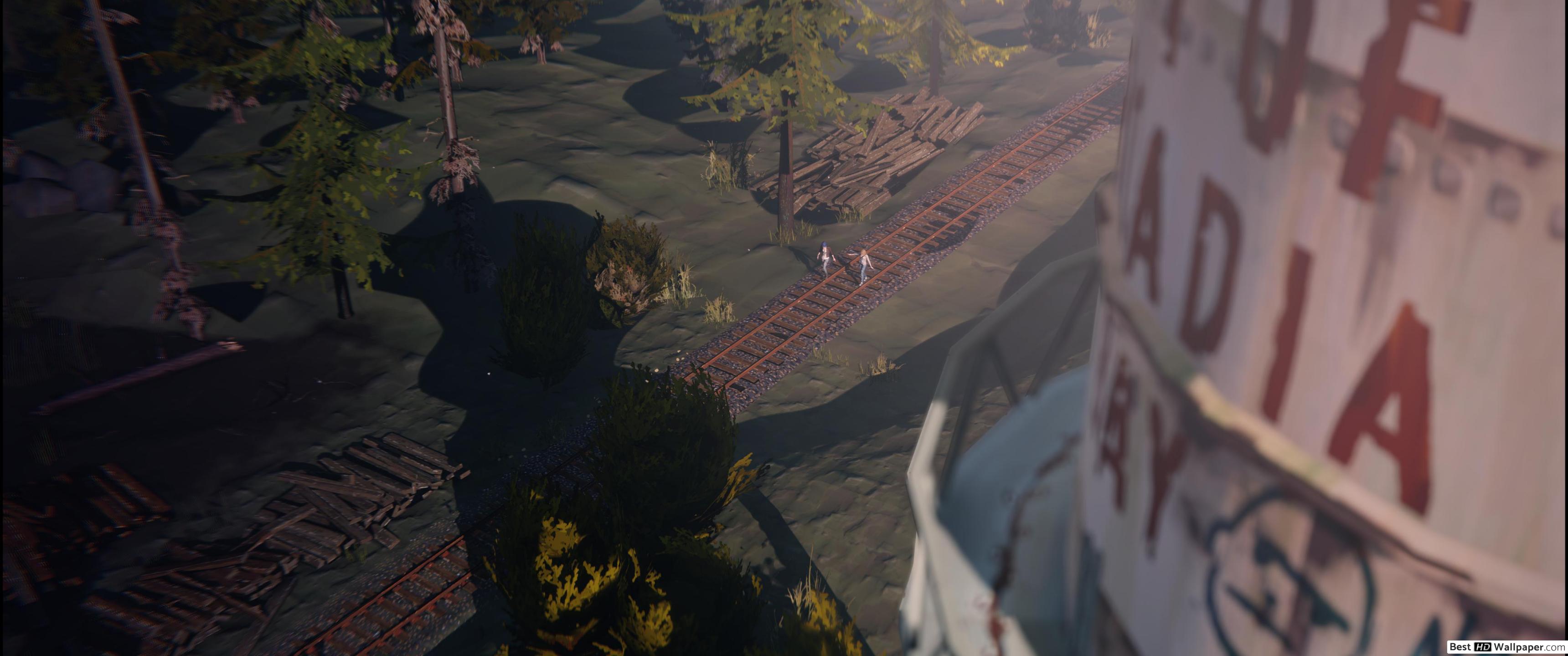 Life Is Strange Twitter Header - HD Wallpaper 