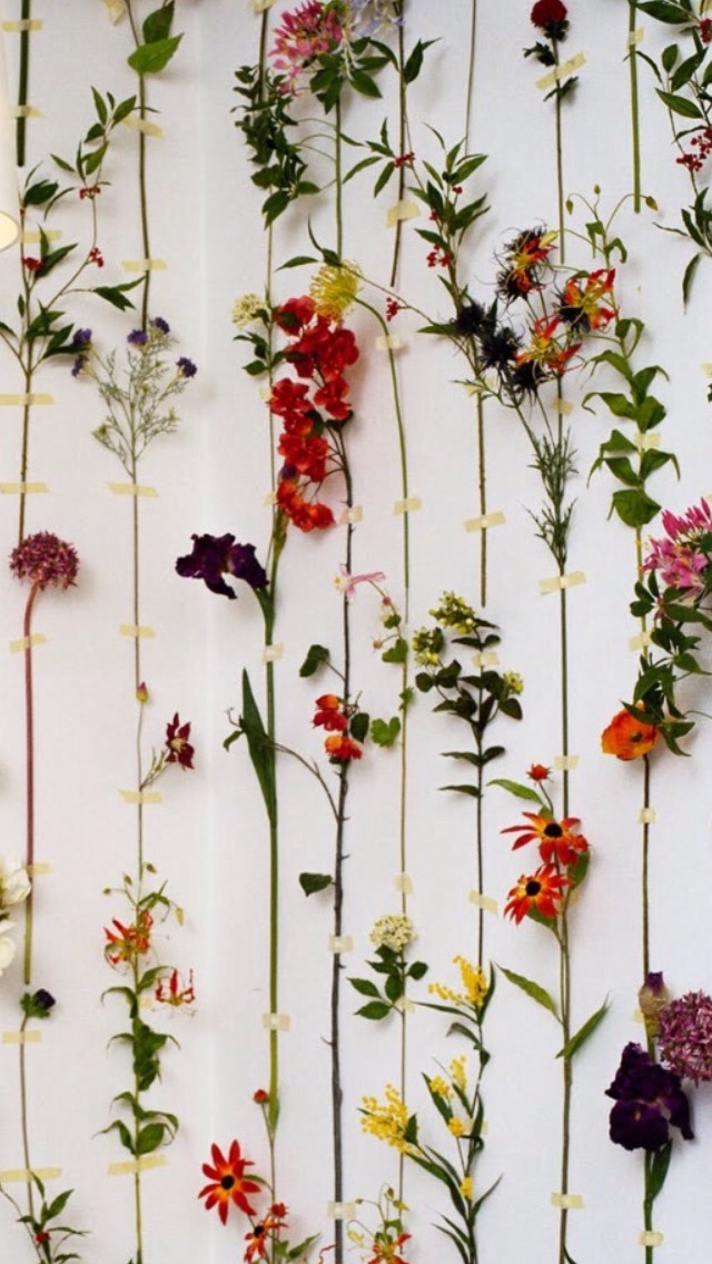 pix Lock Screen Wallpaper For Phone Flowers home screen wallpaper flowers